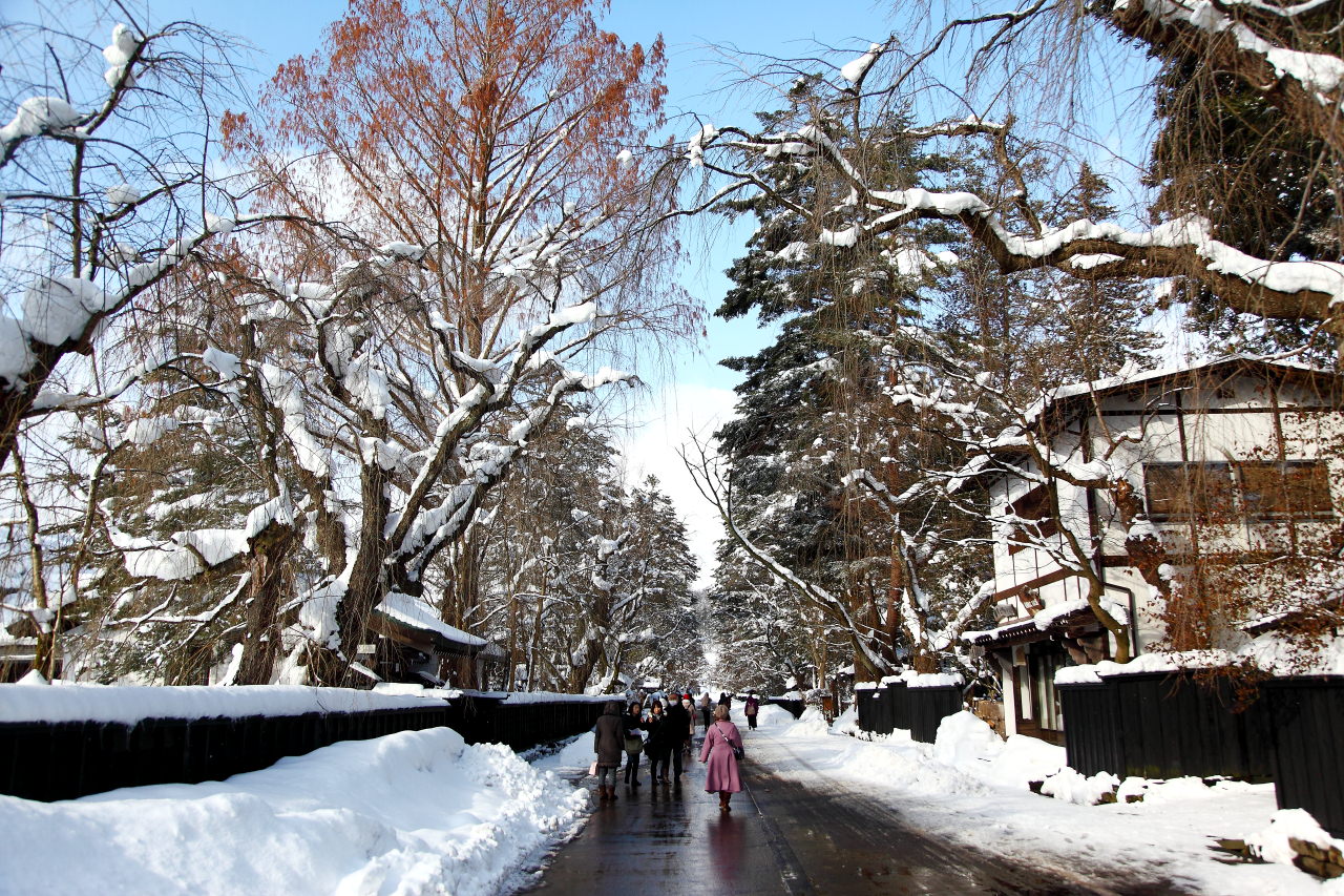 秋田旅遊,秋田景點,日本旅遊,角館,角館旅遊,日本秋田,戀戀秋田犬主題路線！,角館武家宅邸