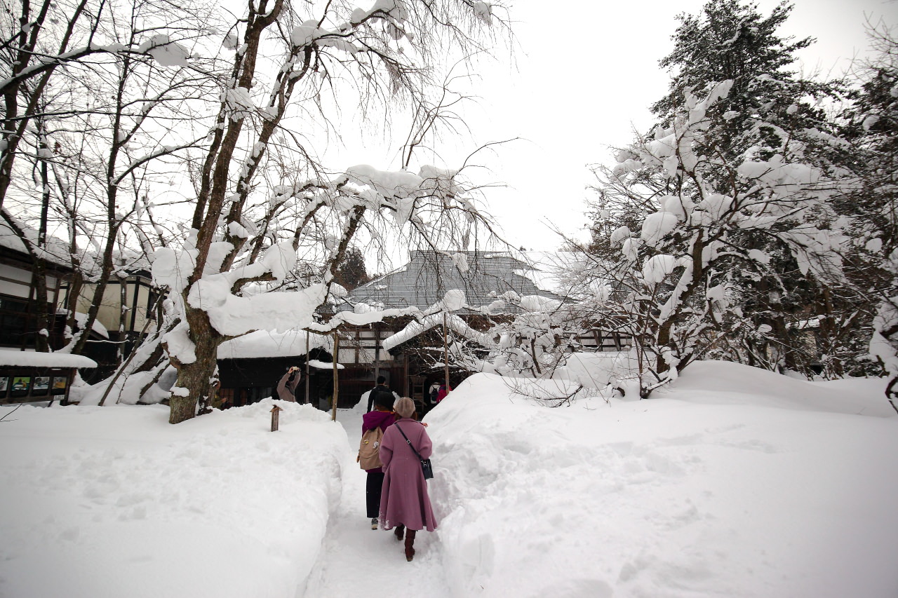 秋田旅遊,秋田景點,日本旅遊,角館,角館旅遊,日本秋田,戀戀秋田犬主題路線！,角館武家宅邸