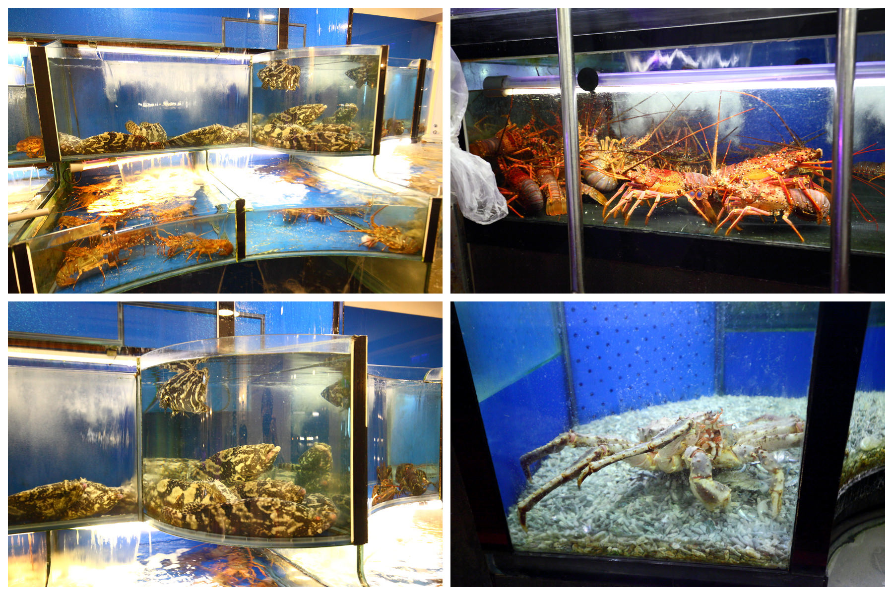 邀稿,台北餐廳,台北101,台北101餐廳,台北母親節餐廳,母親節餐廳推薦,頂鮮101美食美景餐廳,頂鮮101,頂鮮擔仔麵-台北101店