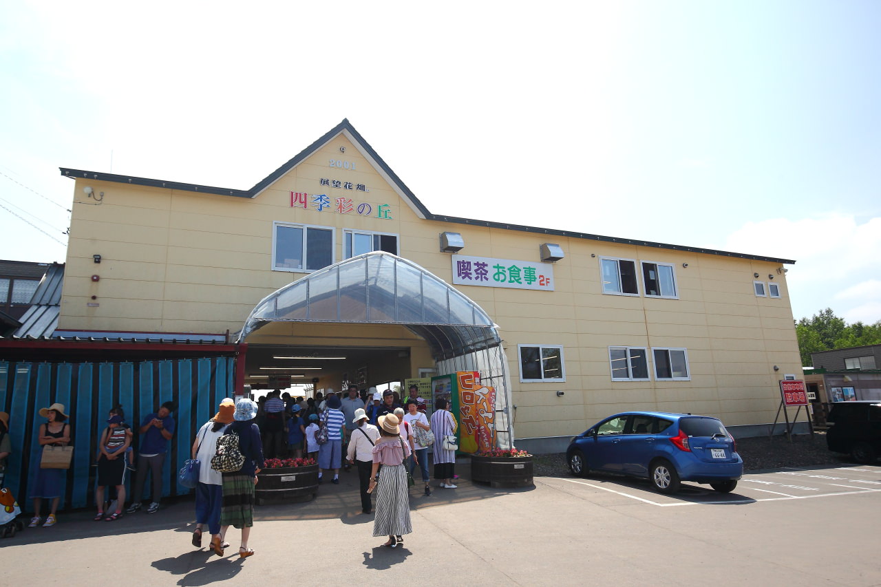 富良野,四季彩之丘,富田農場,夏季北海道,北海道花季,北海道旅遊,美瑛