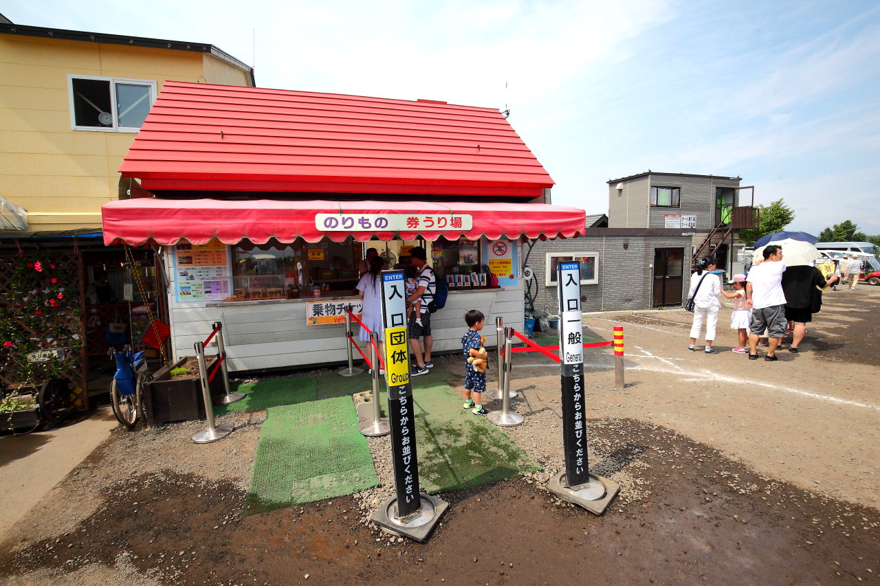富良野,四季彩之丘,富田農場,夏季北海道,北海道花季,北海道旅遊,美瑛