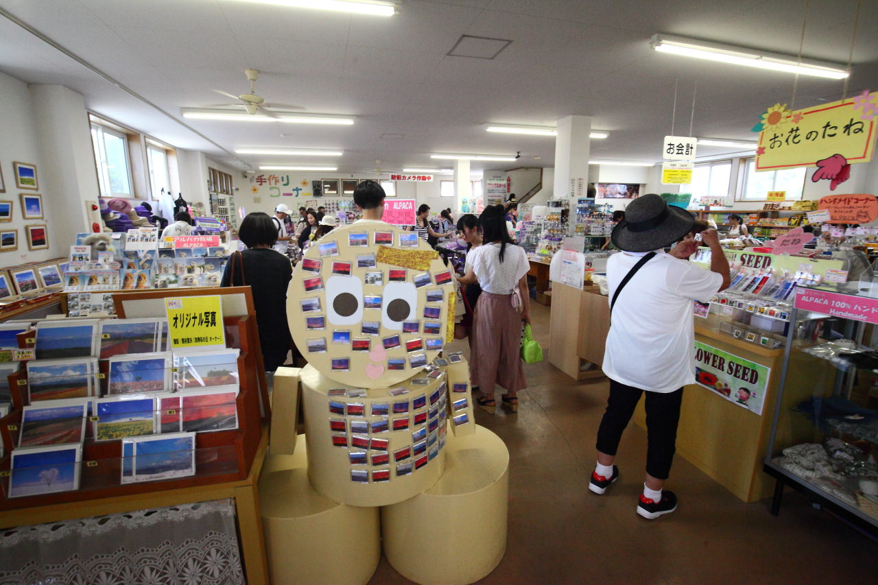 富良野,四季彩之丘,富田農場,夏季北海道,北海道花季,北海道旅遊,美瑛