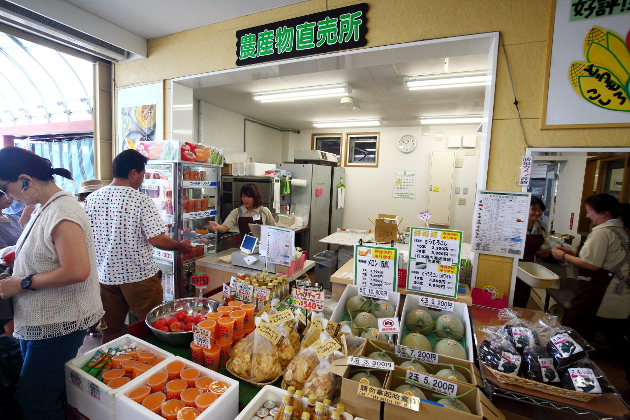 富良野,四季彩之丘,富田農場,夏季北海道,北海道花季,北海道旅遊,美瑛