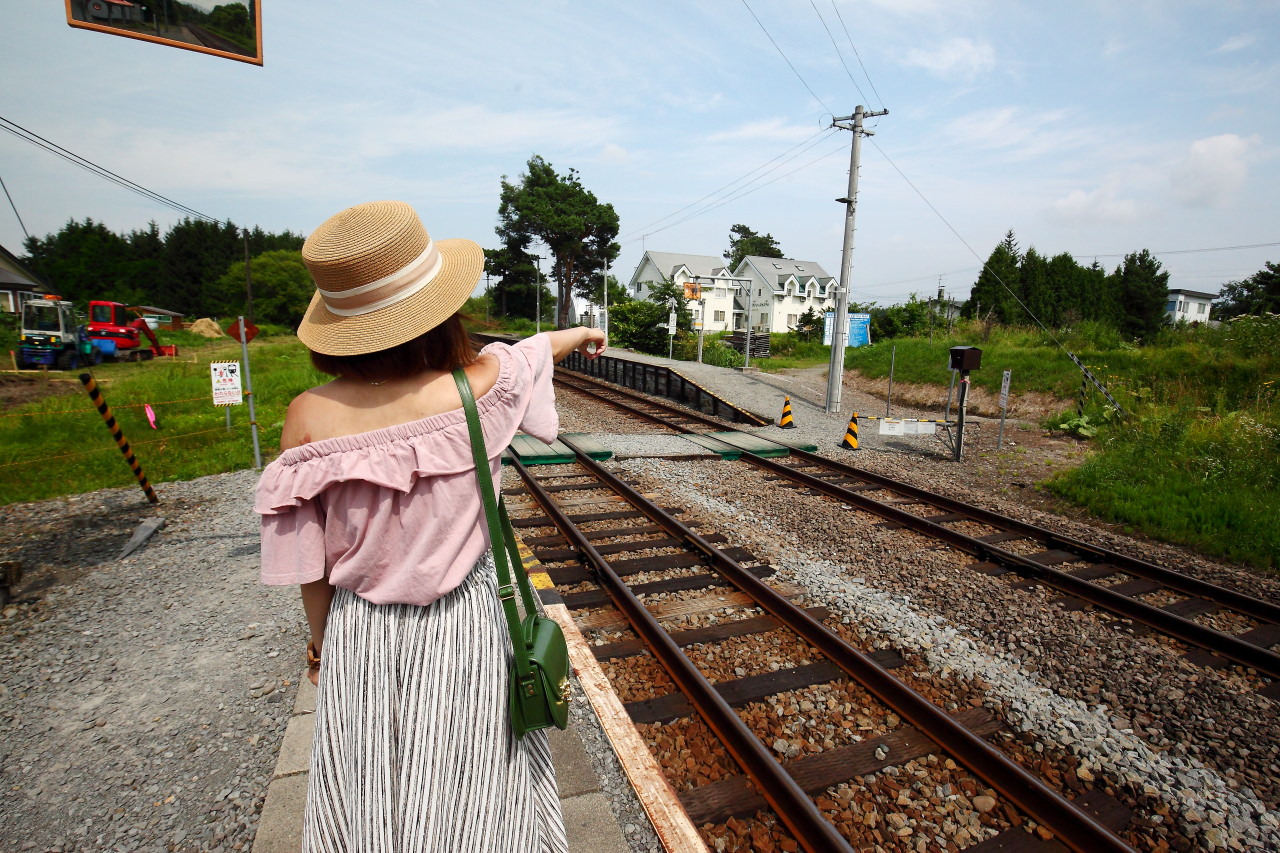富良野,四季彩之丘,富田農場,夏季北海道,北海道花季,北海道旅遊,美瑛