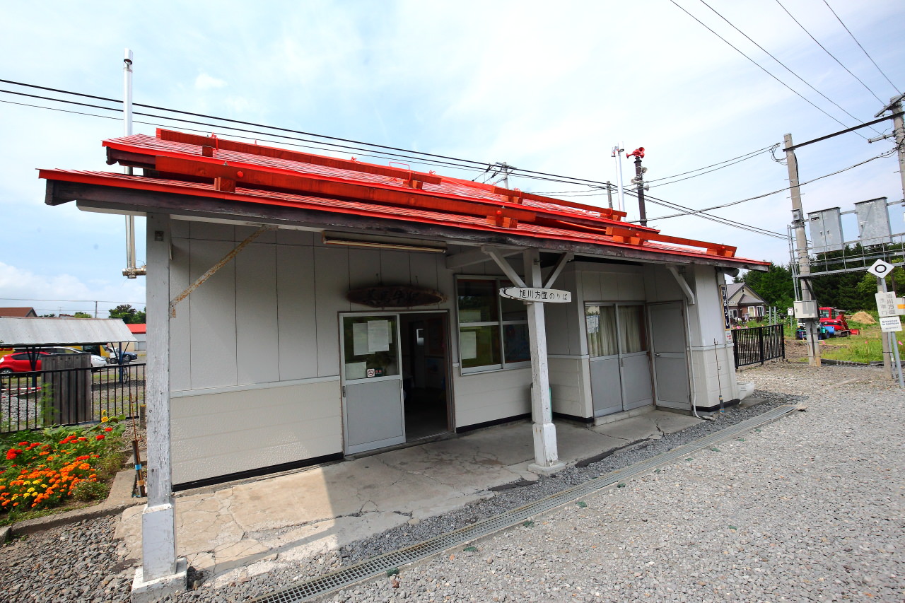 富良野,四季彩之丘,富田農場,夏季北海道,北海道花季,北海道旅遊,美瑛