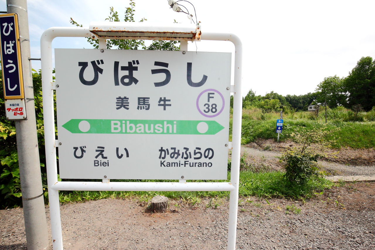 富良野,四季彩之丘,富田農場,夏季北海道,北海道花季,北海道旅遊,美瑛