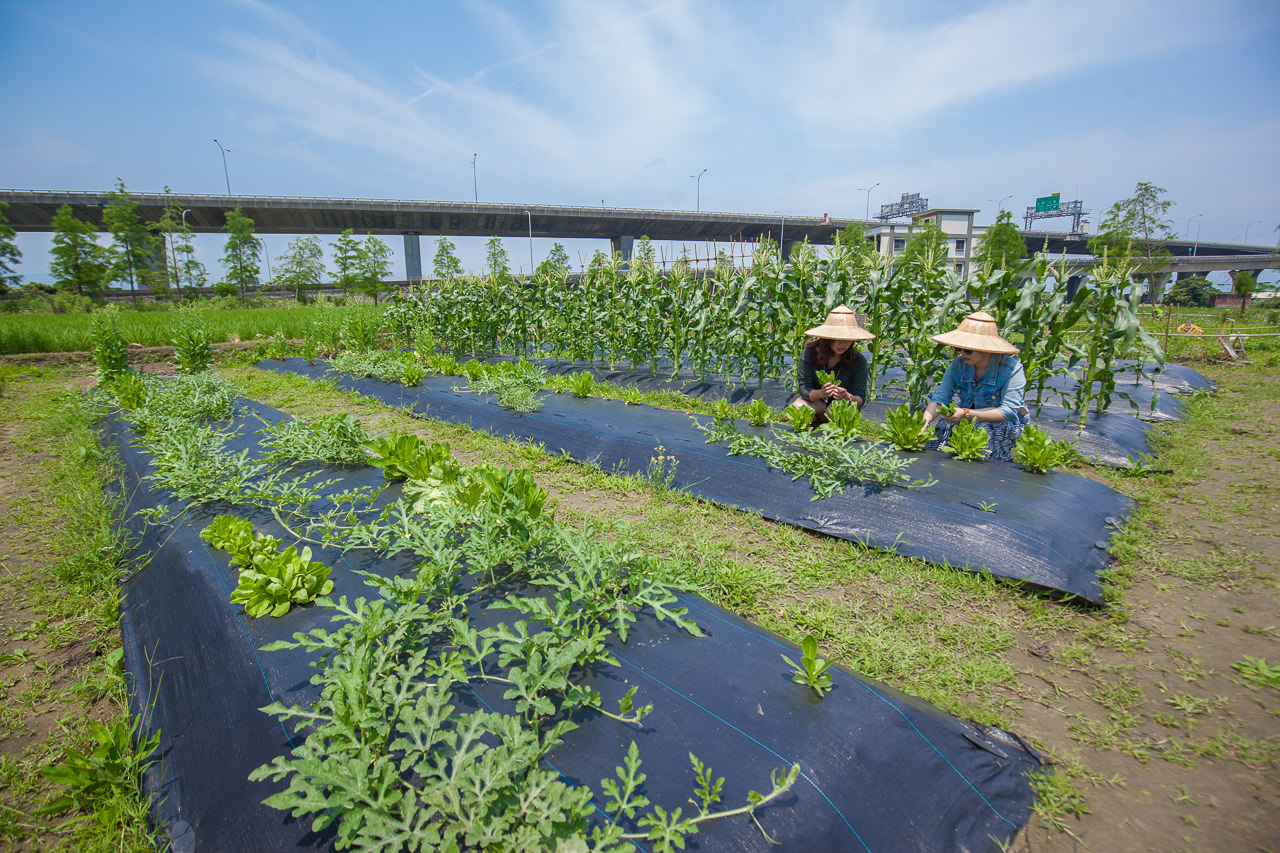 宜蘭民宿推薦,宜蘭民宿,宜蘭住宿推薦,五結民宿,宜蘭頂級民宿,宜蘭包棟,宜蘭包棟民宿,蘆薈villa