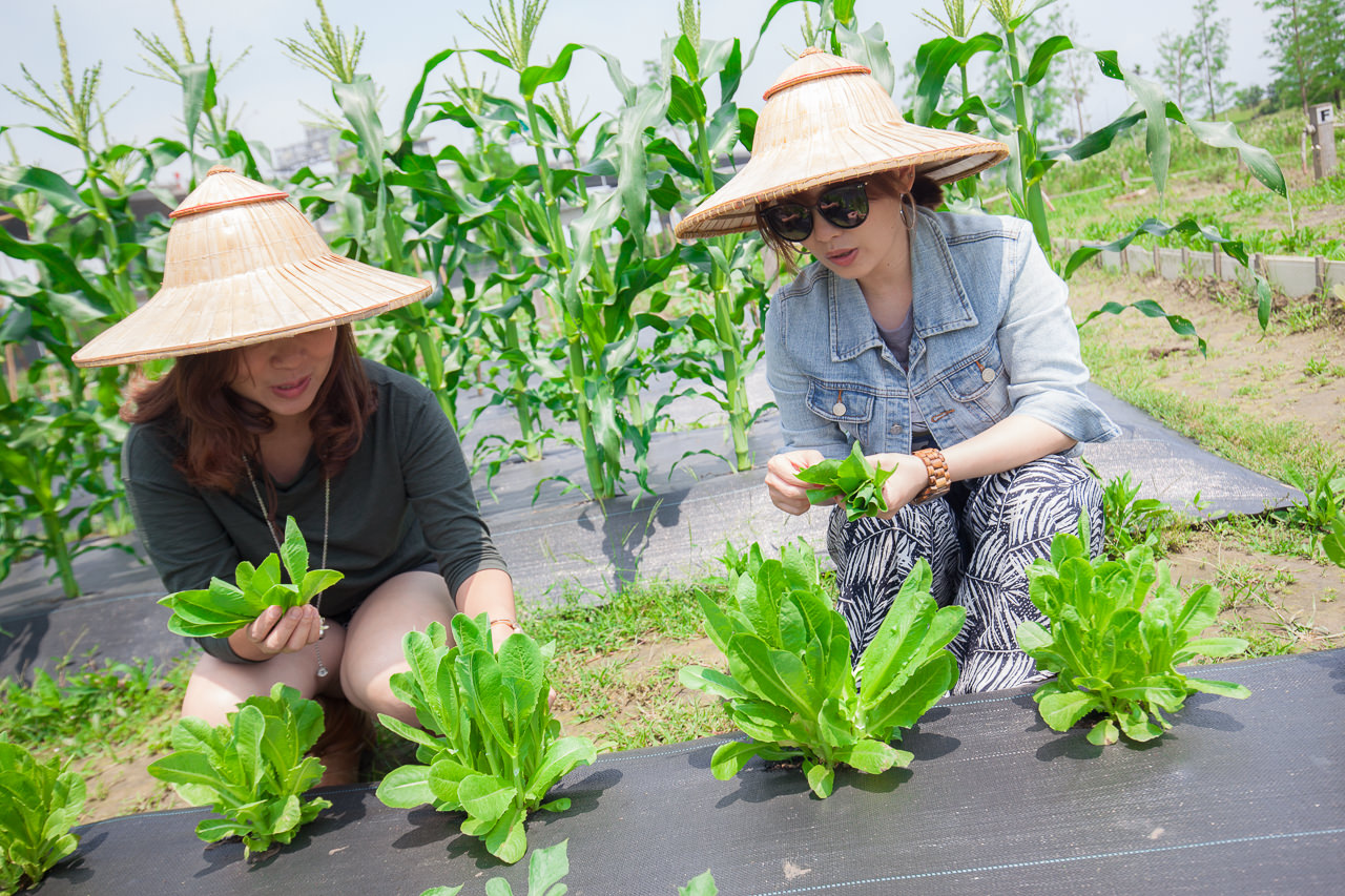 宜蘭民宿推薦,宜蘭民宿,宜蘭住宿推薦,五結民宿,宜蘭頂級民宿,宜蘭包棟,宜蘭包棟民宿,蘆薈villa