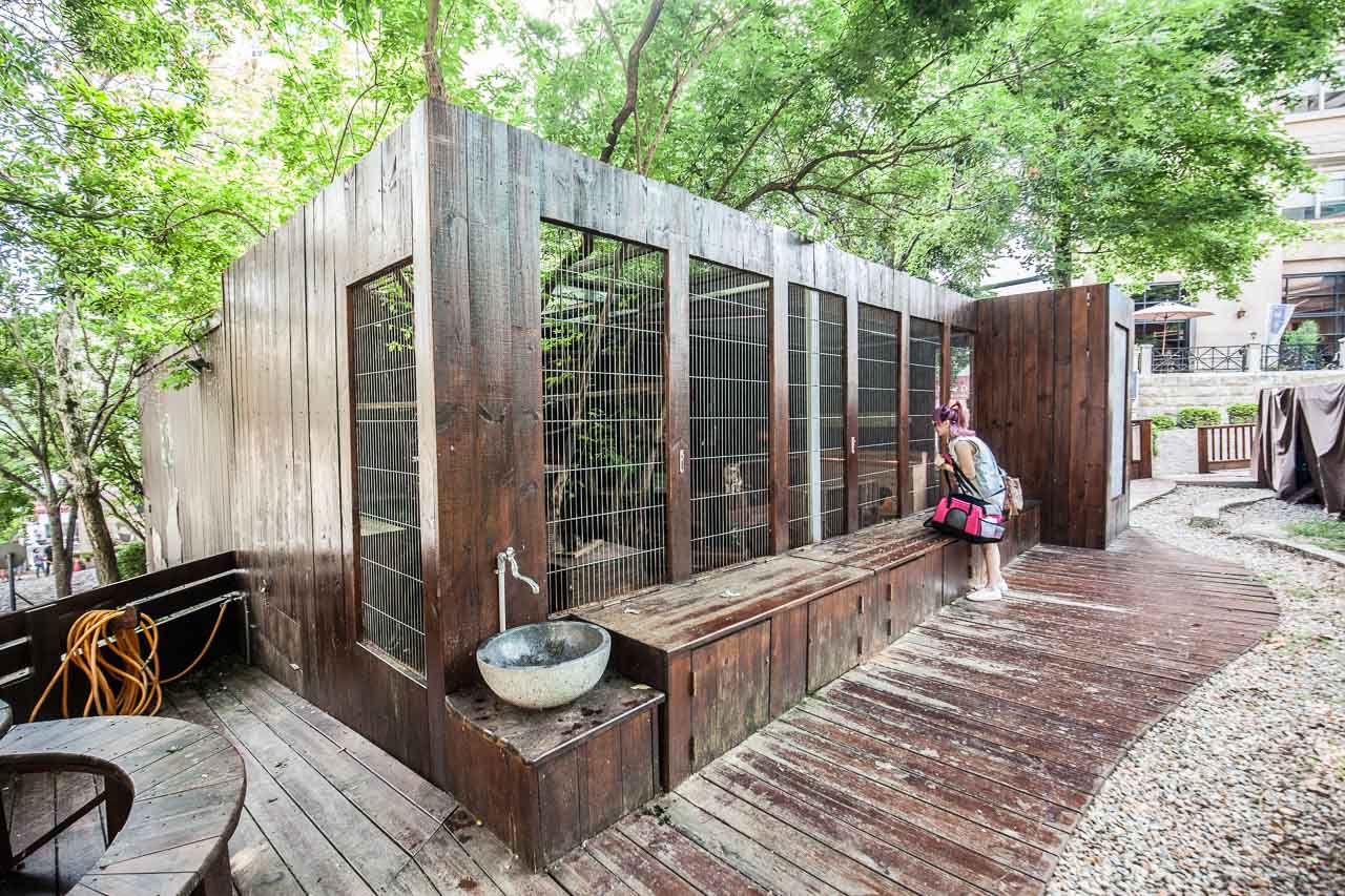 桃園寵物友善,桃園寵物友善餐廳,寵物民宿,寵物住宿,桃園寵物飯店,寵物飯店,寵物住宿推薦,東森山林渡假酒店