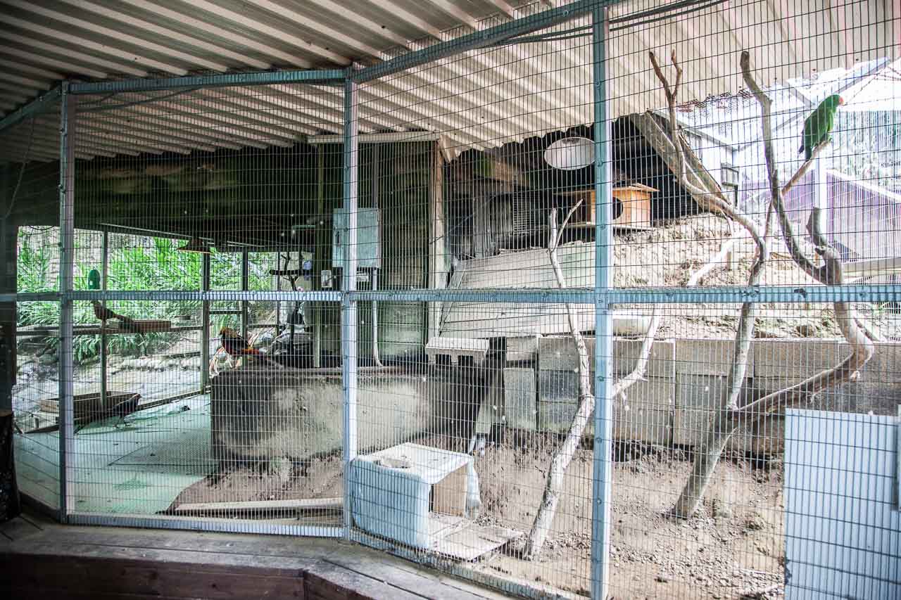 桃園寵物友善,桃園寵物友善餐廳,寵物民宿,寵物住宿,桃園寵物飯店,寵物飯店,寵物住宿推薦,東森山林渡假酒店