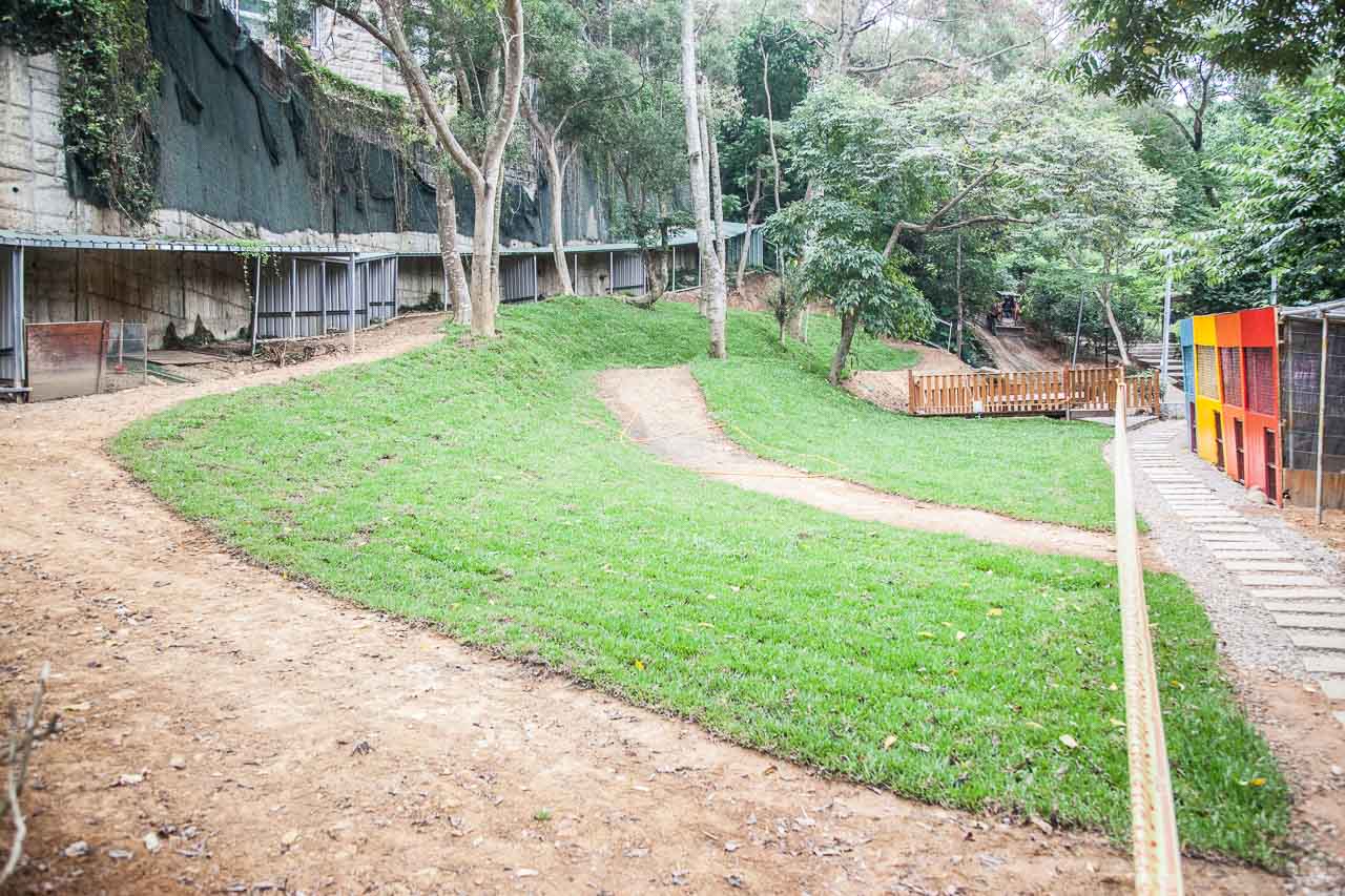 桃園寵物友善,桃園寵物友善餐廳,寵物民宿,寵物住宿,桃園寵物飯店,寵物飯店,寵物住宿推薦,東森山林渡假酒店
