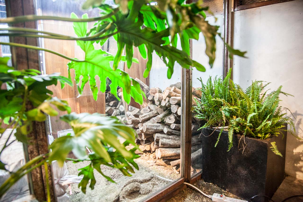棧 F-U Kitchen 直火廚房,台北約會餐廳推薦,台北美食,台北聚餐,台北捷運美食,台北燒烤,台北燒烤推薦,中山美食,台北聚餐通建,台北碳烤