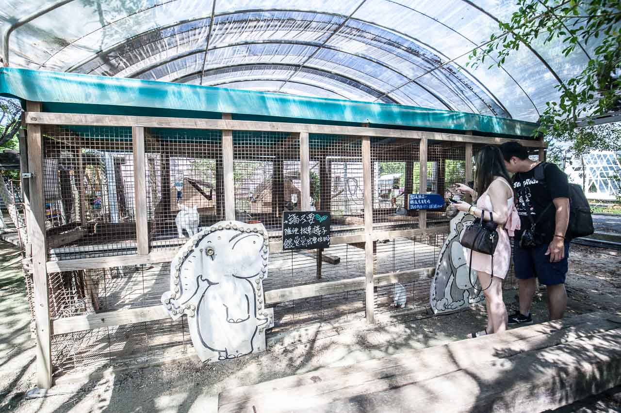 觀音景點,ㄚ昌伯民宿,康莊蓮園民宿,青林農場,桃園民宿,林家古厝,桃園旅遊,桃園景點,觀音民宿,觀音美食,觀音蓮花季,觀音必吃