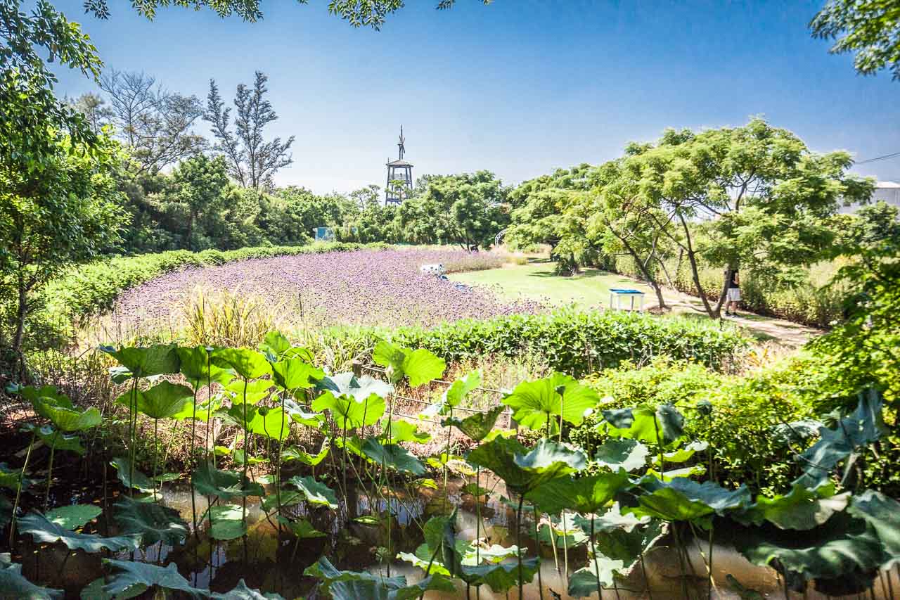 觀音景點,ㄚ昌伯民宿,康莊蓮園民宿,青林農場,桃園民宿,林家古厝,桃園旅遊,桃園景點,觀音民宿,觀音美食,觀音蓮花季,觀音必吃