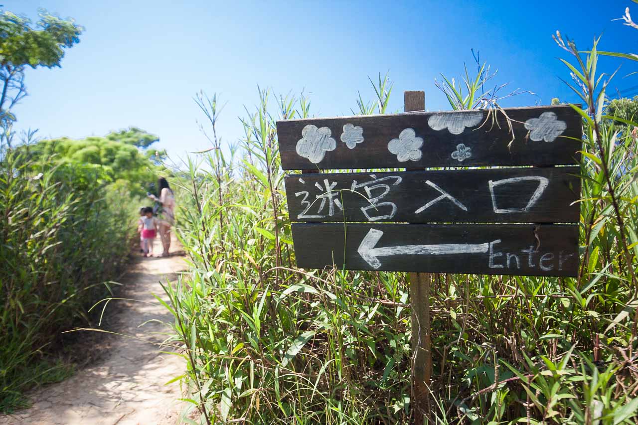 觀音景點,ㄚ昌伯民宿,康莊蓮園民宿,青林農場,桃園民宿,林家古厝,桃園旅遊,桃園景點,觀音民宿,觀音美食,觀音蓮花季,觀音必吃