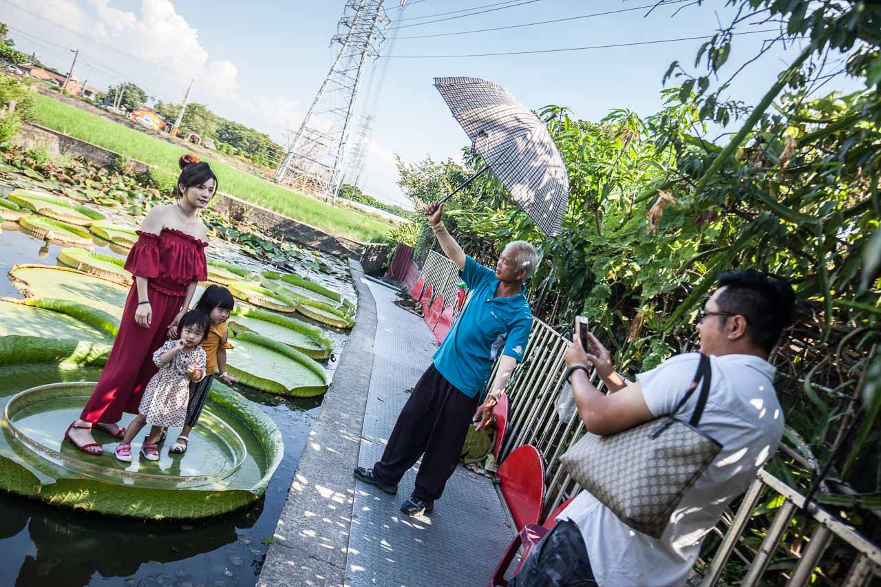 觀音景點,ㄚ昌伯民宿,康莊蓮園民宿,青林農場,桃園民宿,林家古厝,桃園旅遊,桃園景點,觀音民宿,觀音美食,觀音蓮花季,觀音必吃