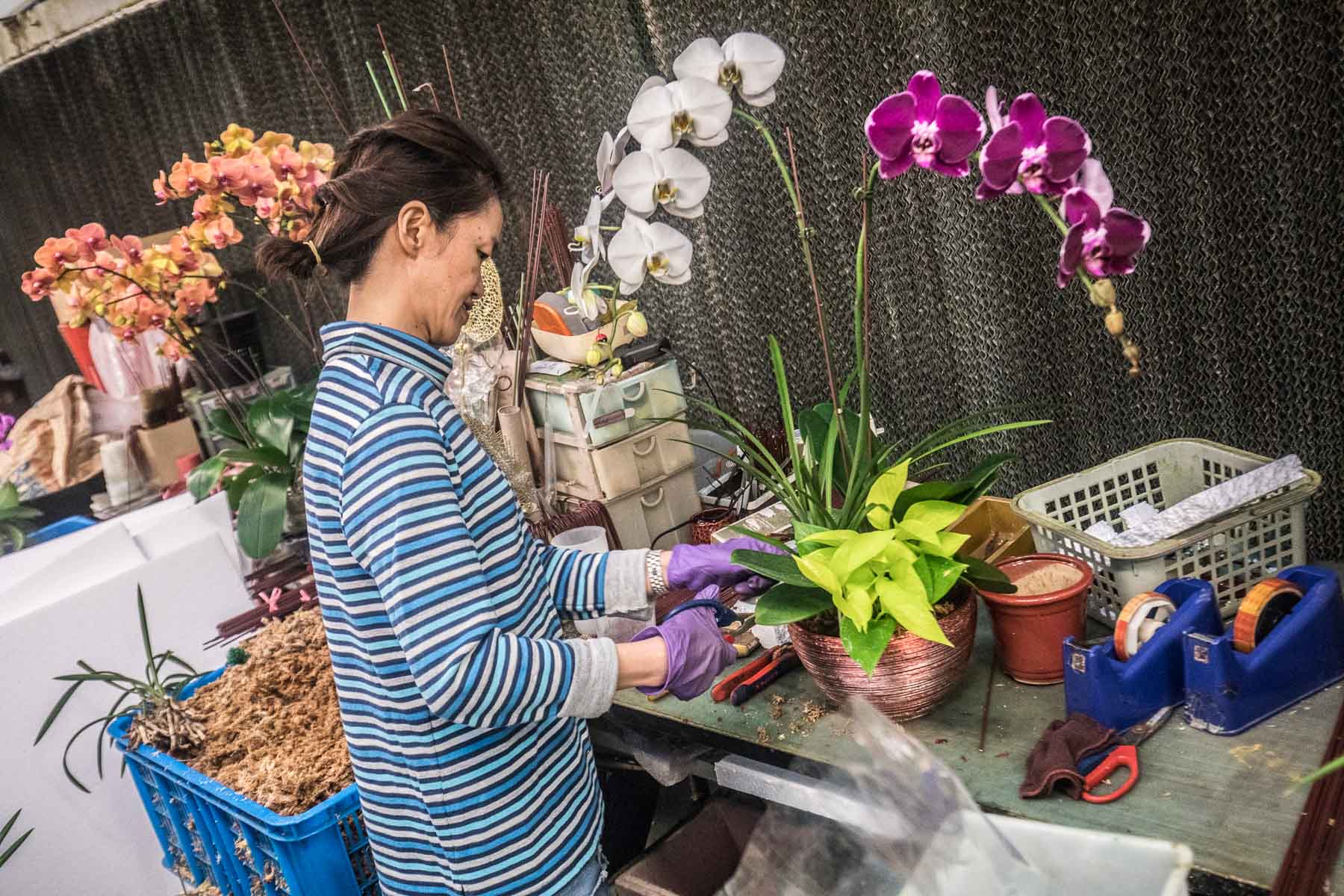 台灣好行慈湖縣,台灣好行,桃園住宿,桃園民宿,桃園旅遊,大溪旅遊,大溪景點,大溪必吃,大溪住宿,大溪民宿