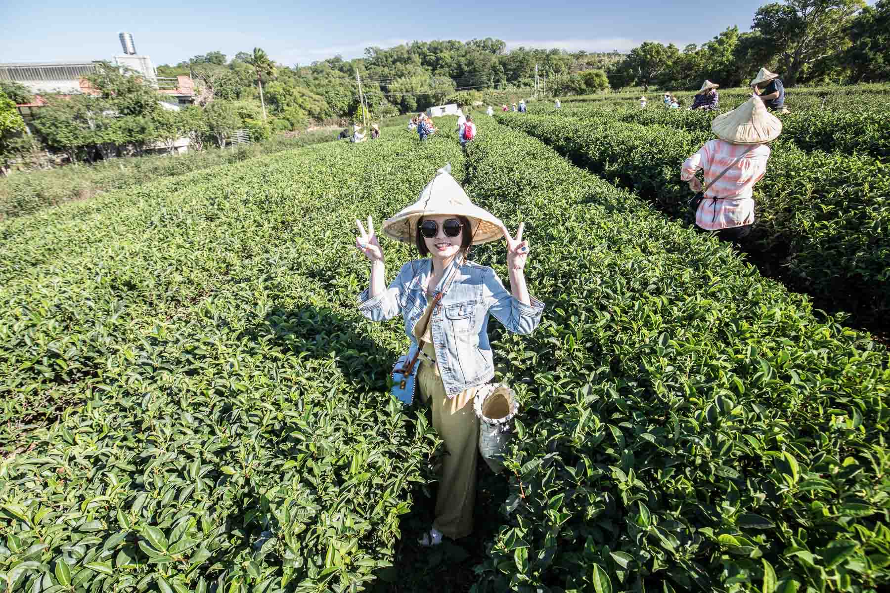 苗栗一日遊,頭份一日遊,苗栗景點,頭份景點,頭份旅遊,苗栗旅遊