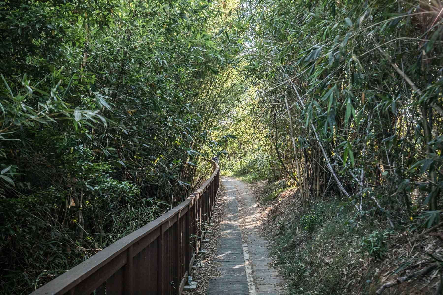 苗栗一日遊,頭份一日遊,苗栗景點,頭份景點,頭份旅遊,苗栗旅遊