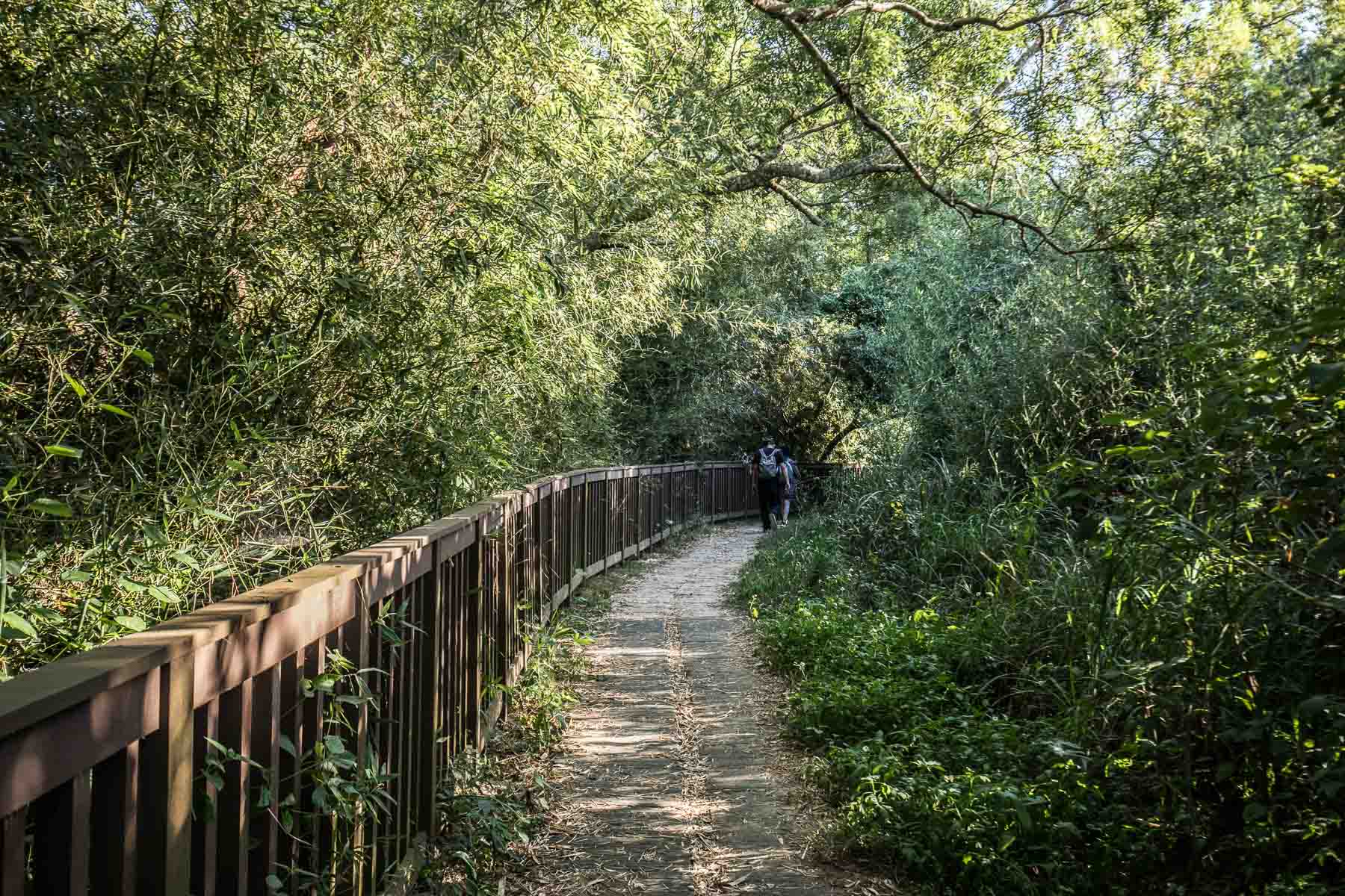 苗栗一日遊,頭份一日遊,苗栗景點,頭份景點,頭份旅遊,苗栗旅遊