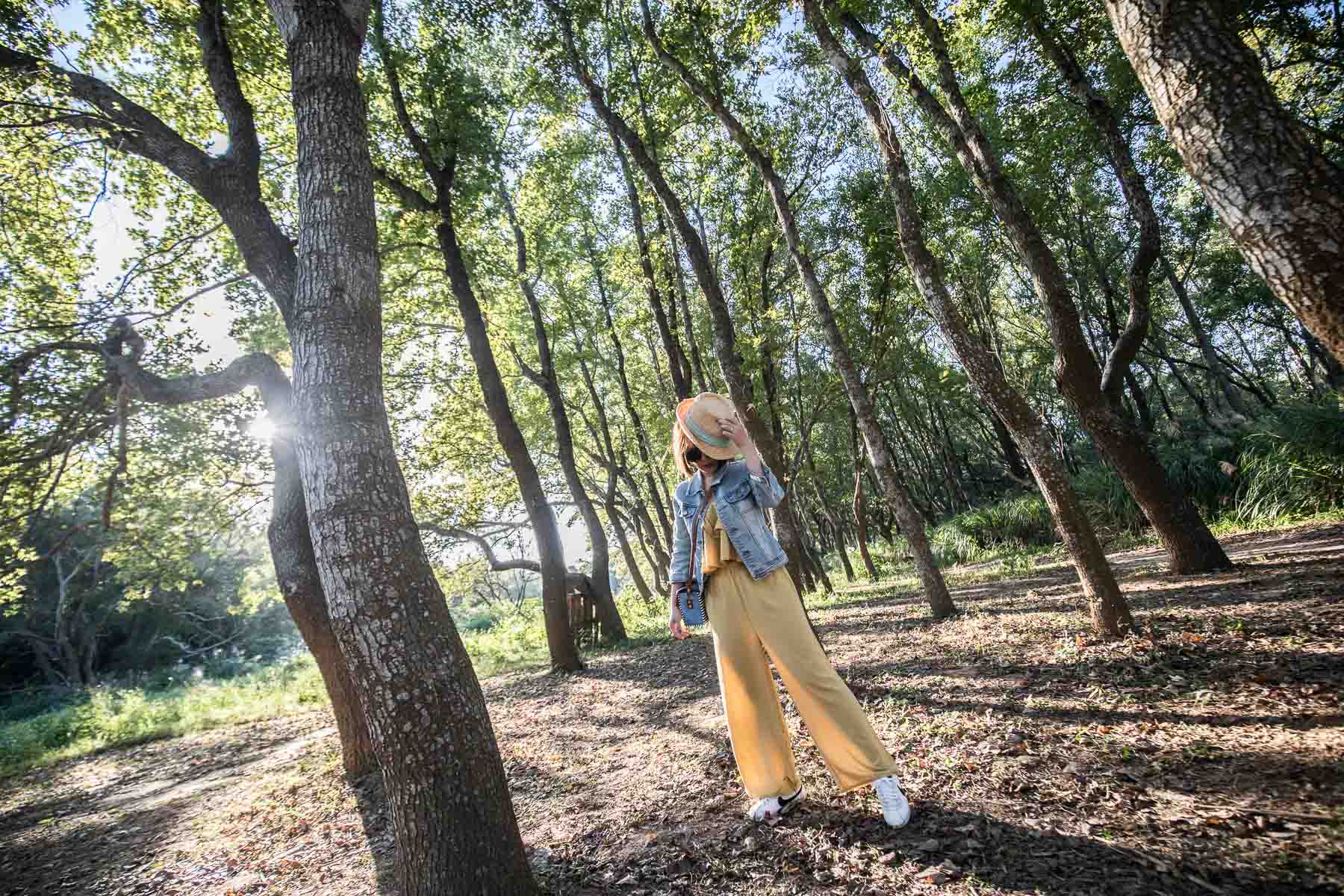 苗栗一日遊,頭份一日遊,苗栗景點,頭份景點,頭份旅遊,苗栗旅遊