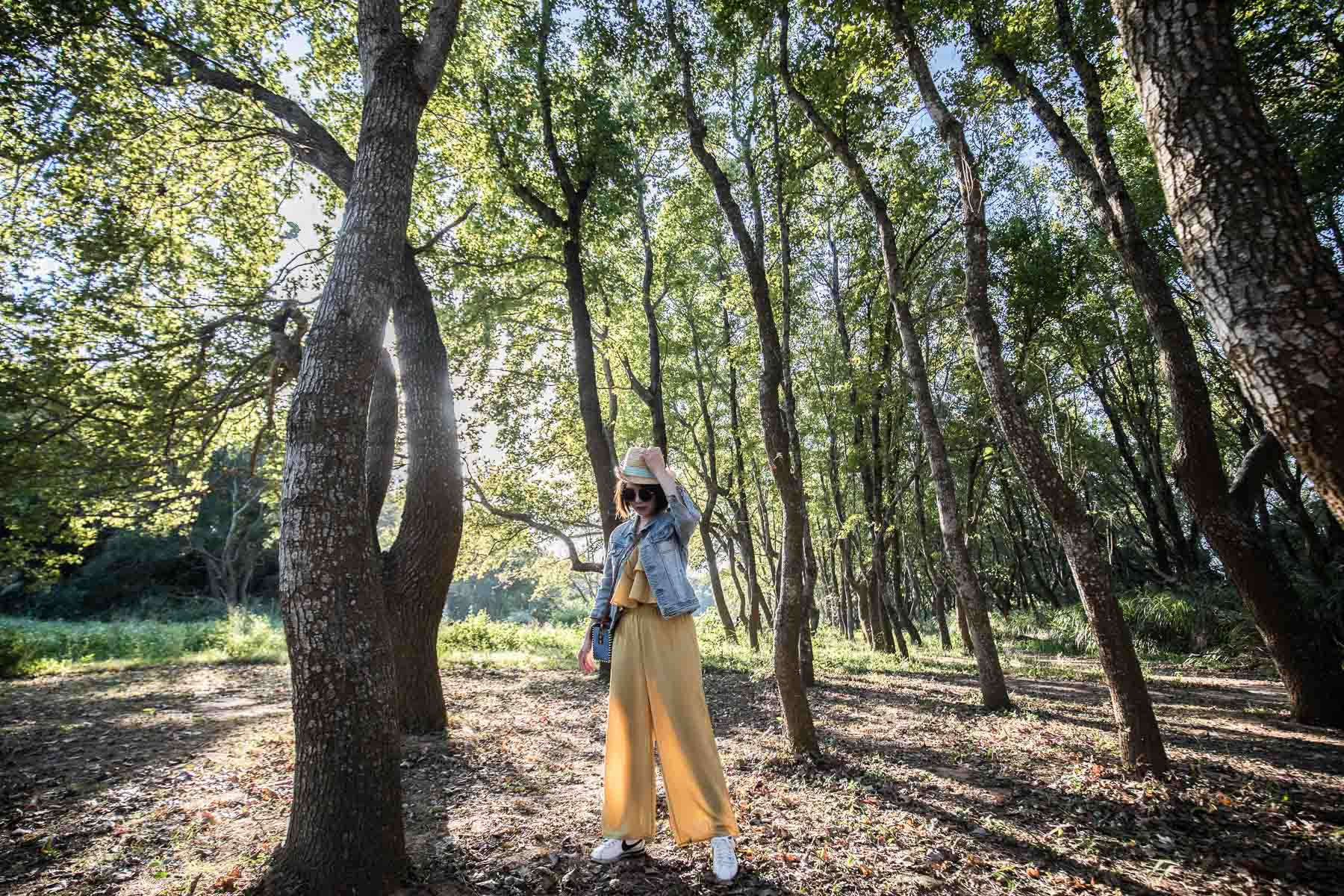 苗栗一日遊,頭份一日遊,苗栗景點,頭份景點,頭份旅遊,苗栗旅遊