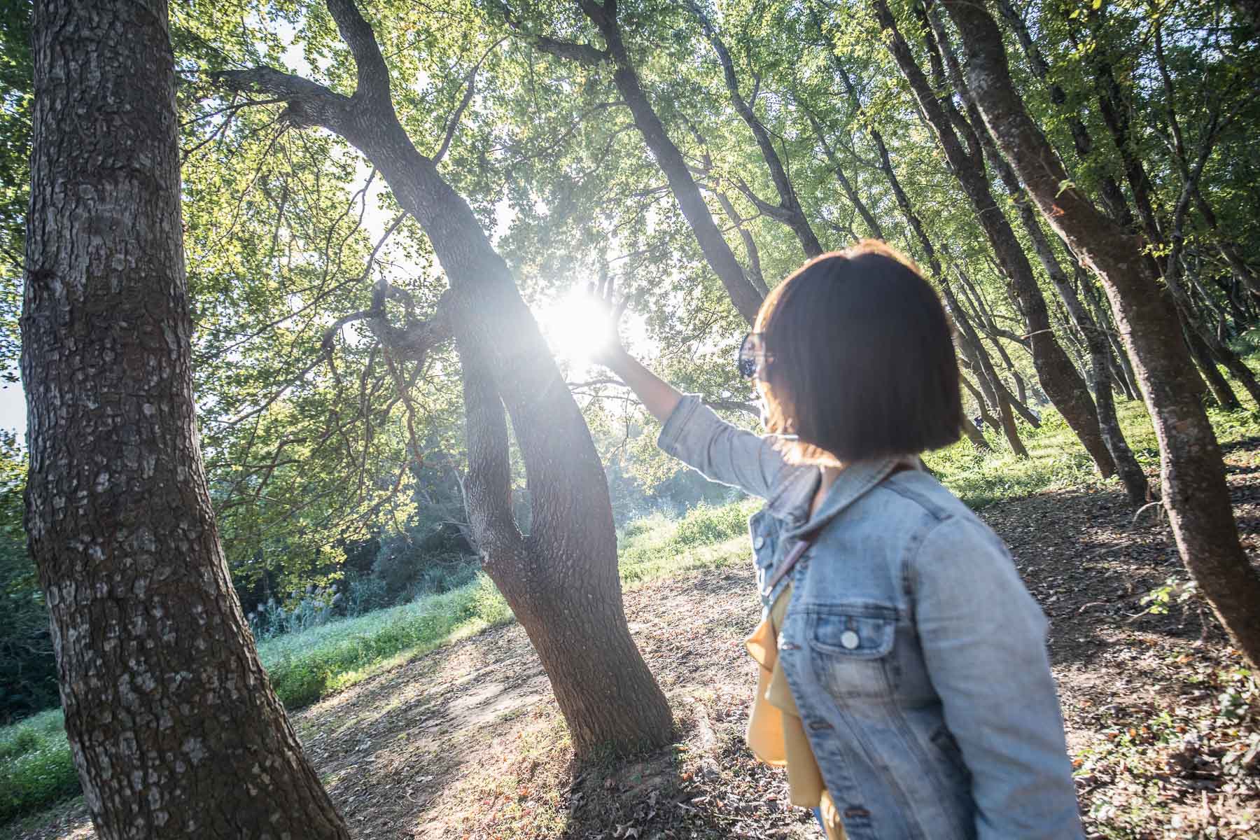 苗栗一日遊,頭份一日遊,苗栗景點,頭份景點,頭份旅遊,苗栗旅遊