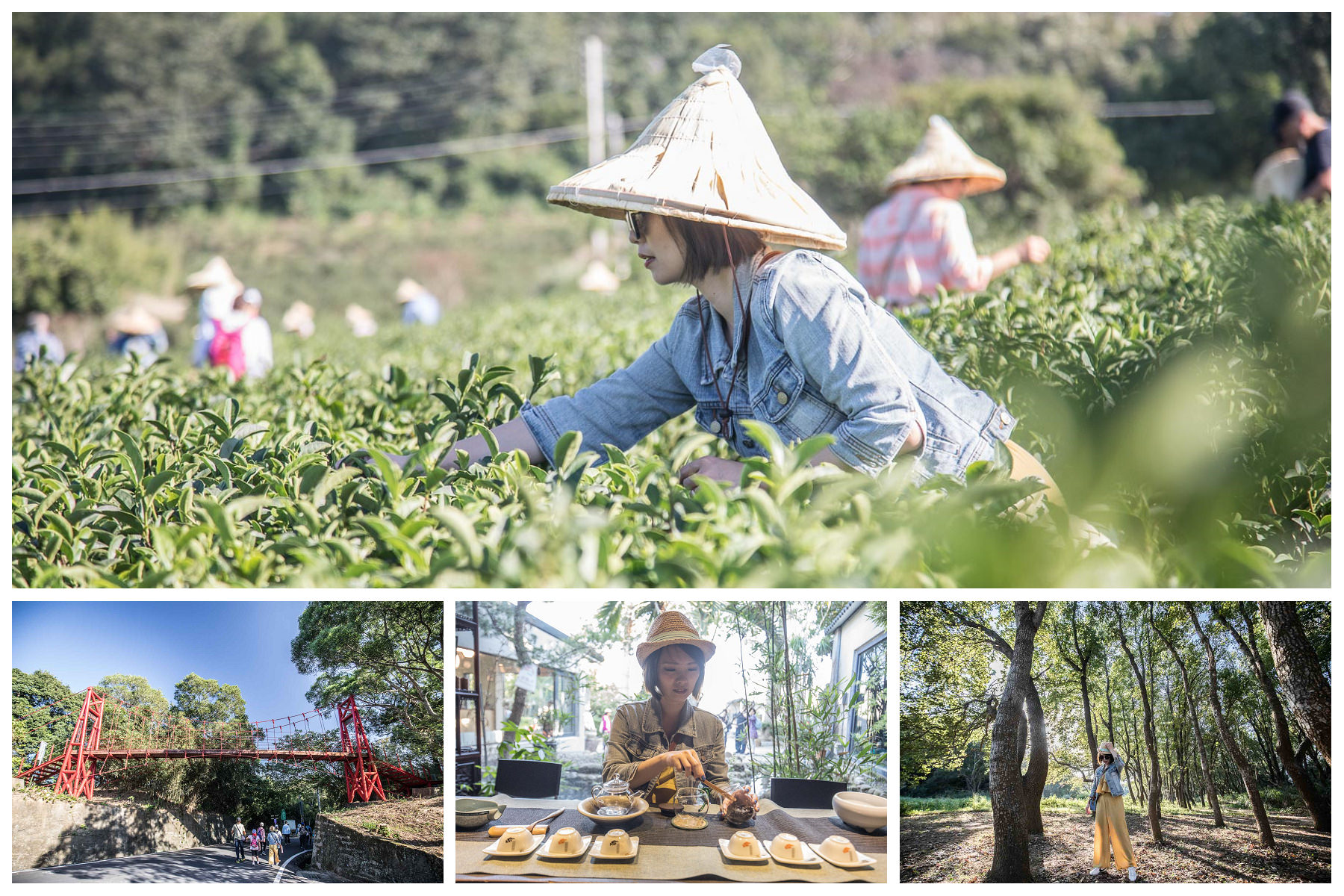 苗栗一日遊,頭份一日遊,苗栗景點,頭份景點,頭份旅遊,苗栗旅遊 @大手牽小手。玩樂趣