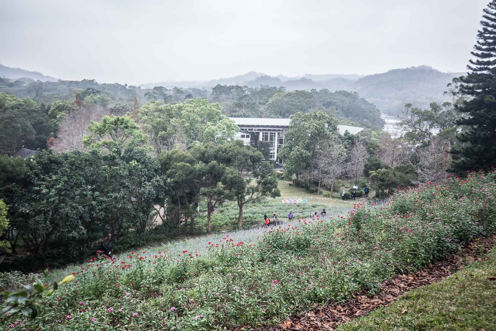 苗栗景點,苗栗旅遊,薰衣草森林,薰衣草森林明德店,苗栗薰衣草森林,苗栗親子景點,三義親子景點