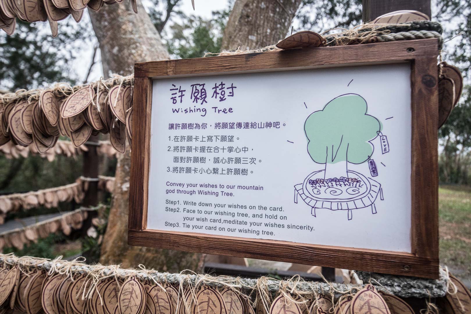 苗栗景點,苗栗旅遊,薰衣草森林,薰衣草森林明德店,苗栗薰衣草森林,苗栗親子景點,三義親子景點