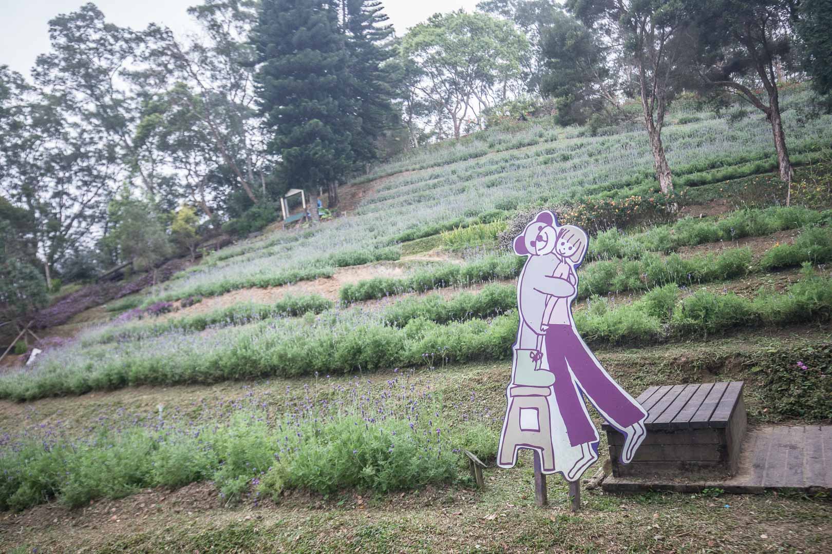 苗栗景點,苗栗旅遊,薰衣草森林,薰衣草森林明德店,苗栗薰衣草森林,苗栗親子景點,三義親子景點