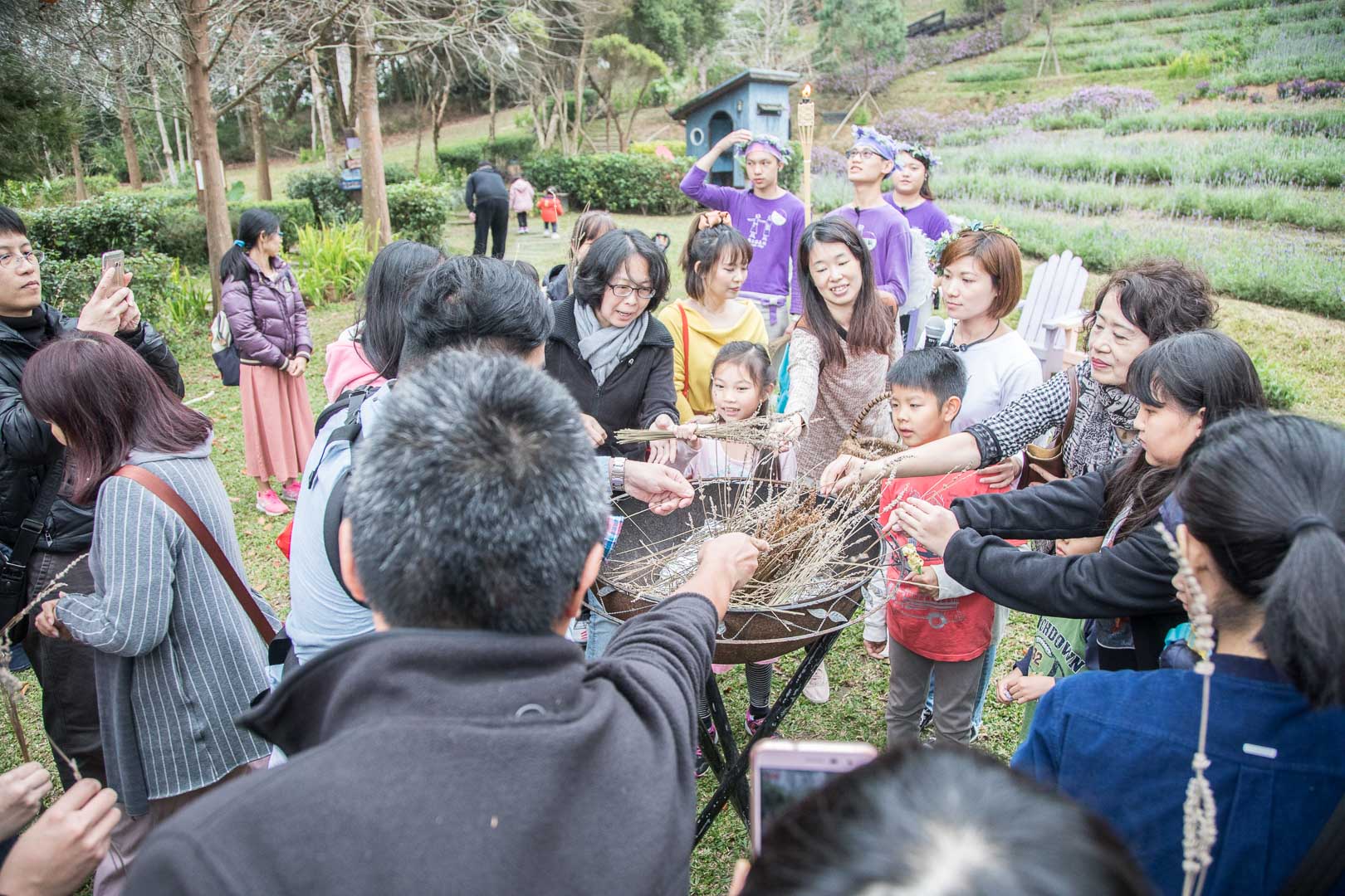 苗栗景點,苗栗旅遊,薰衣草森林,薰衣草森林明德店,苗栗薰衣草森林,苗栗親子景點,三義親子景點