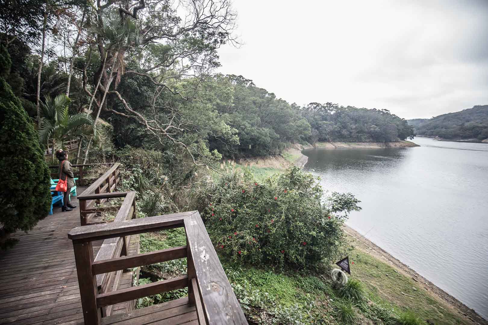 苗栗景點,苗栗旅遊,薰衣草森林,薰衣草森林明德店,苗栗薰衣草森林,苗栗親子景點,三義親子景點