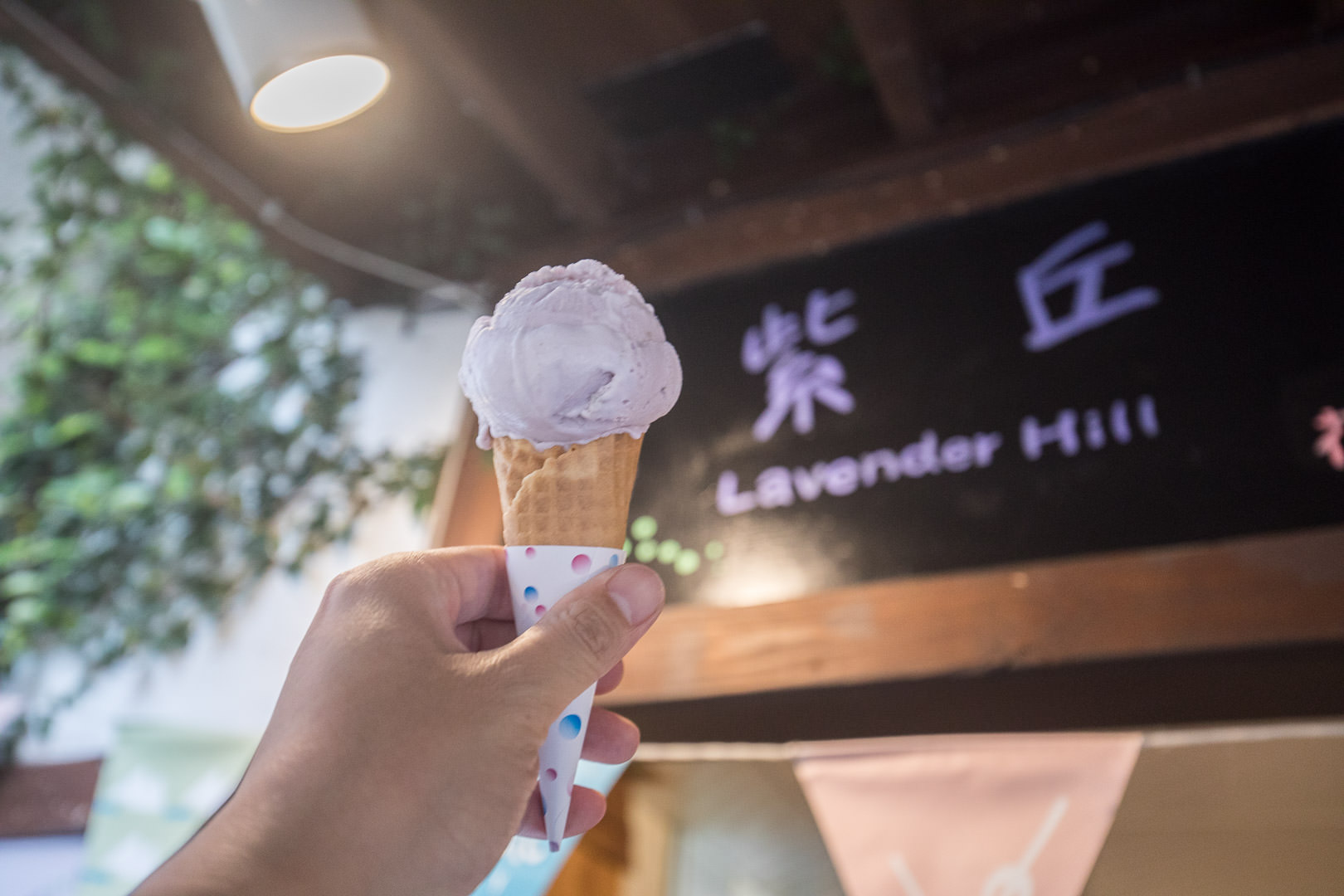 苗栗景點,苗栗旅遊,薰衣草森林,薰衣草森林明德店,苗栗薰衣草森林,苗栗親子景點,三義親子景點