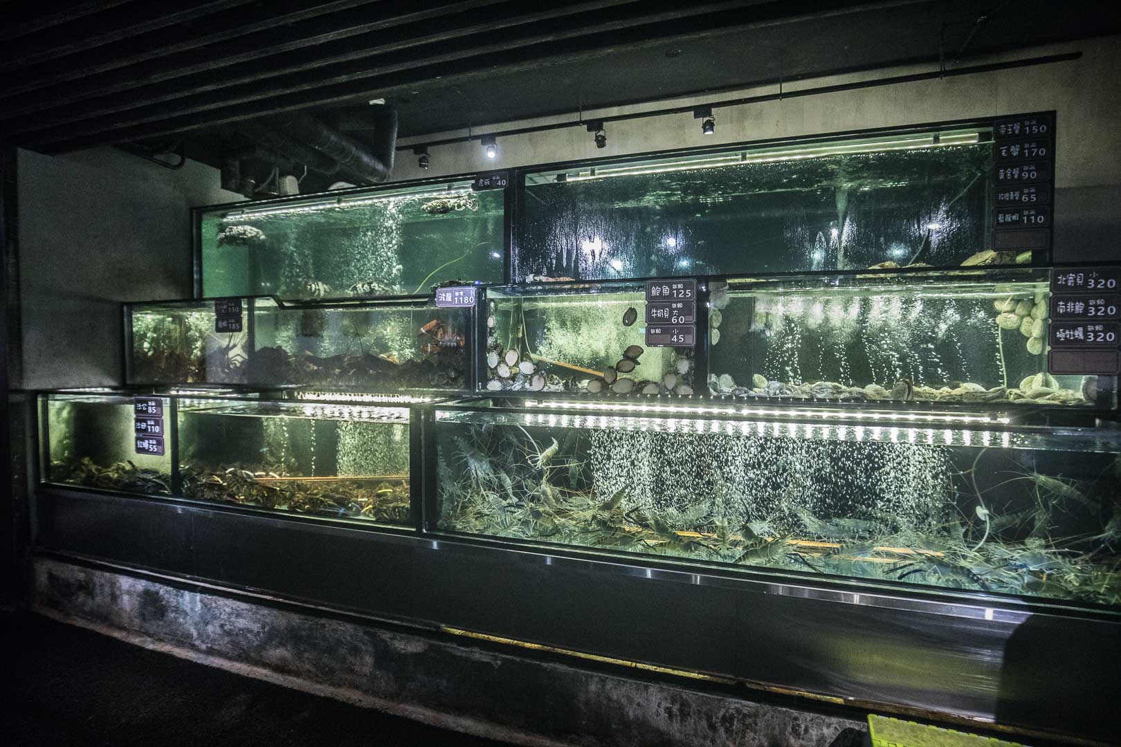 台北海鮮餐廳,台北蒸海鮮,蒸龍宴-蒸汽養身海鮮館敦化店,蒸龍宴-蒸汽養身海鮮館,蒸龍宴,台北美食,台北母親節餐廳,台北聚餐推薦