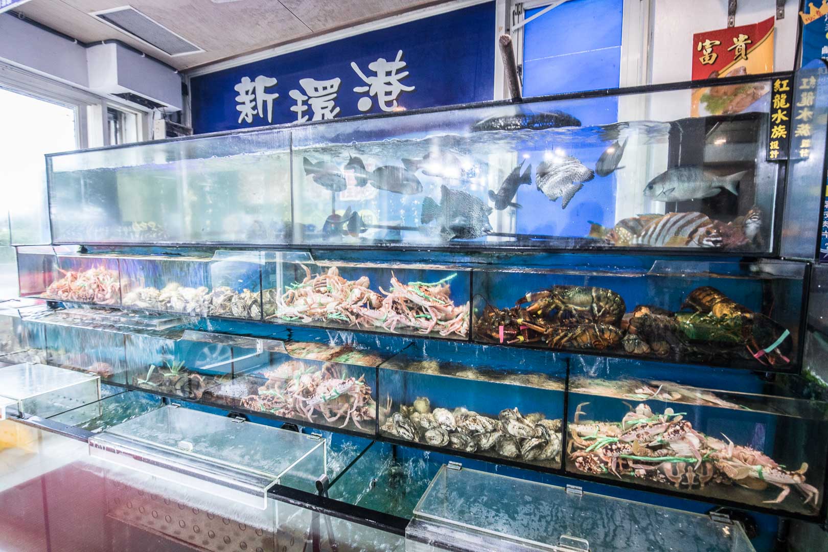 基隆海鮮,基隆海鮮餐廳,八斗子海鮮餐廳,八斗子海鮮,基隆活海鮮,八斗子活海鮮,新環港海鮮餐廳