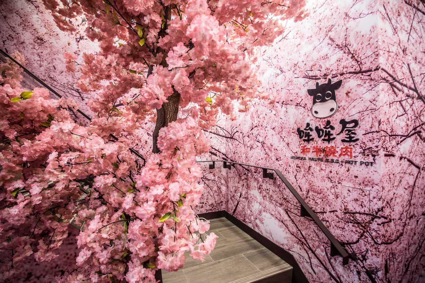 哞哞屋和牛燒肉-西門店,哞哞屋和牛燒肉,台北美食,台北燒烤,西門町燒烤,美國牛肉,西門町美食,馬辣燒烤,和牛燒烤,美牛燒烤