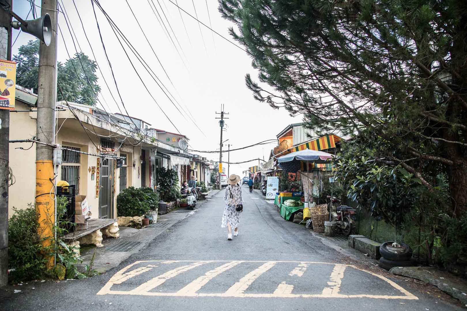 清境餐廳,清境農場美食,美斯樂傣味店,南投美食,清境美食,清境必吃,清境雲南料理