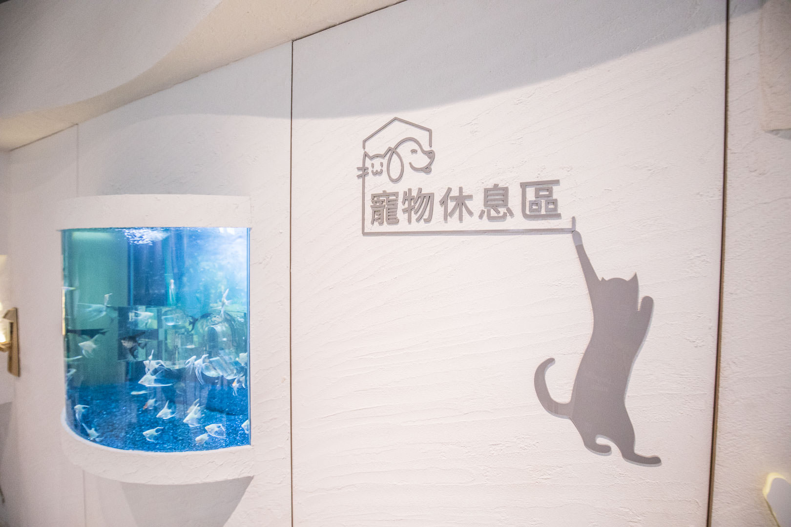 台北火鍋,台北海鮮火鍋,台北鍋物,台北海鮮鍋物,京華城美食,小巨蛋美食,Hi-Q褐藻生活館x鱻食,Hi-Q褐藻生活館