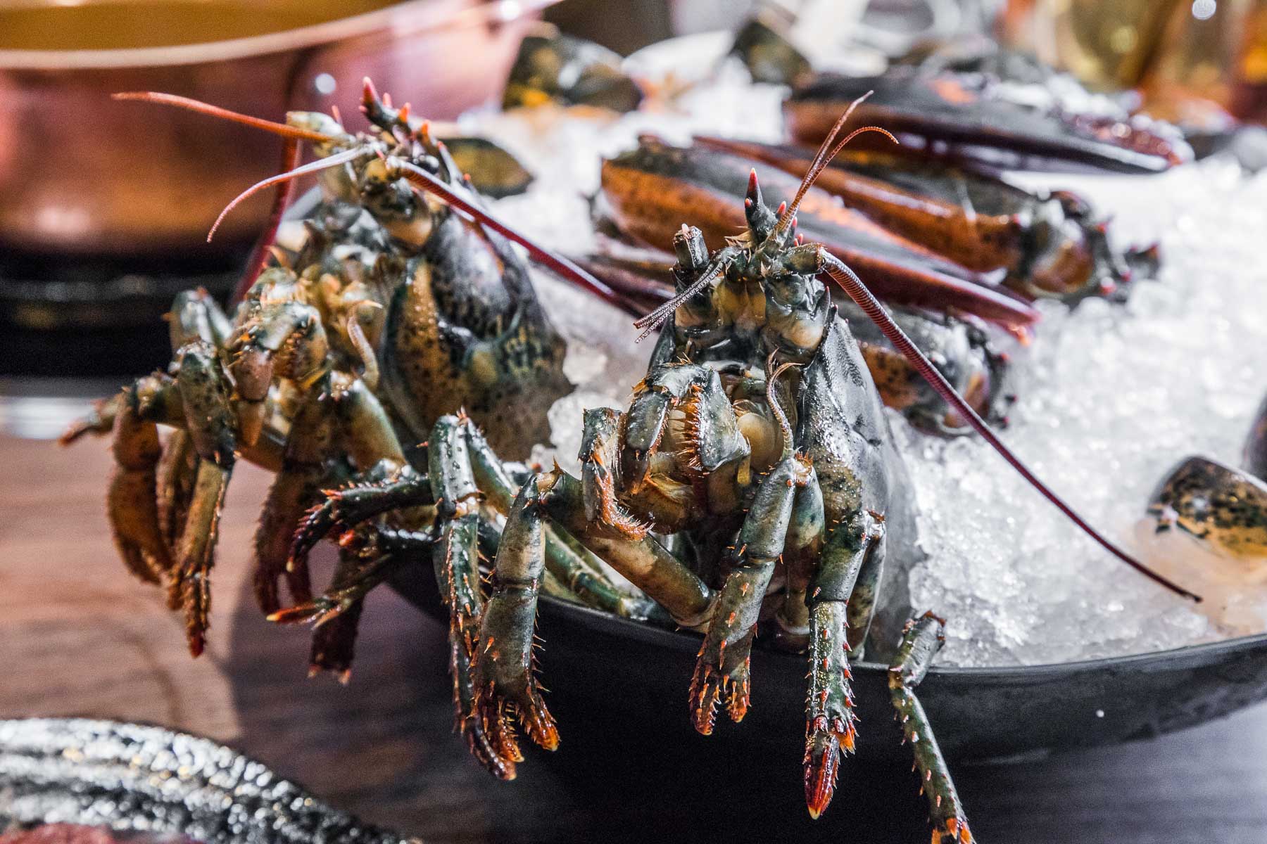 台北海鮮火鍋,台北鍋物,蘆洲火鍋,蘆洲鍋物,蘆洲海鮮火鍋,銅花精緻涮涮鍋 蘆洲集賢店,銅花精緻涮涮鍋,台北火鍋