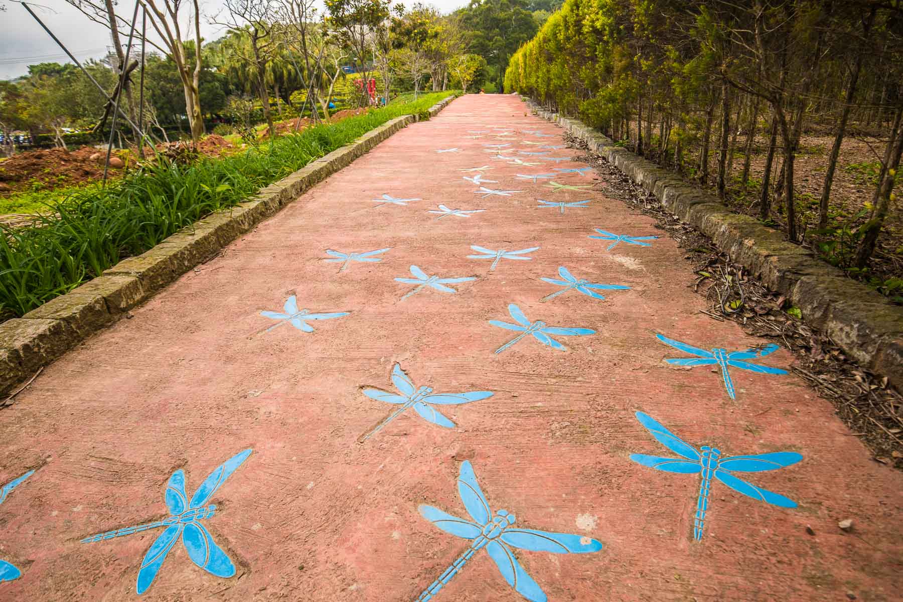 龍潭魯冰花,魯冰花季,2020年魯冰花季,2020龍潭魯冰花,大北坑魯冰花,桃園景點,龍潭景點,桃園魯冰花祭,桃園魯冰花