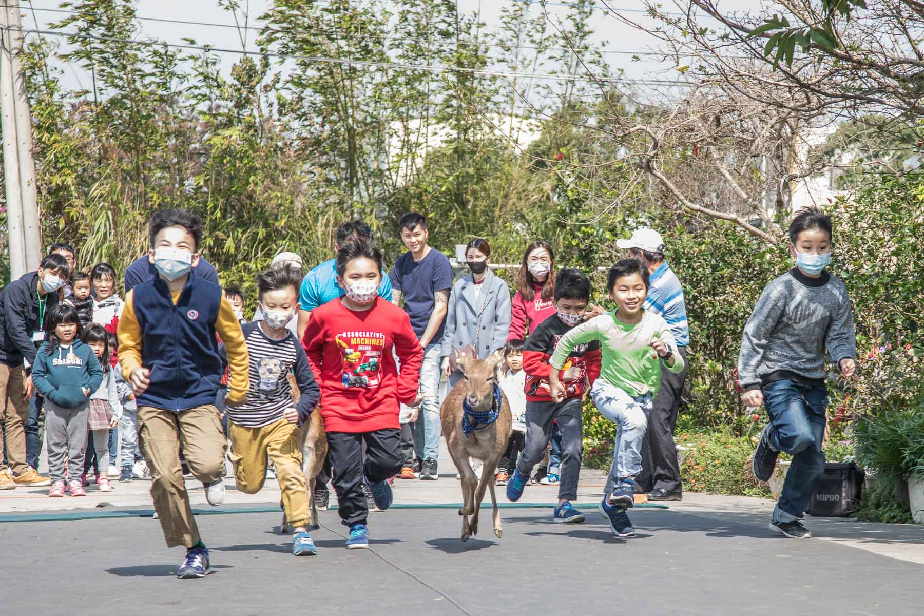 桃園景點,桃園必玩,桃園小鹿,桃園餵鹿,機捷景點,機捷必玩,山腳鹿場-水鹿之家,山腳鹿場