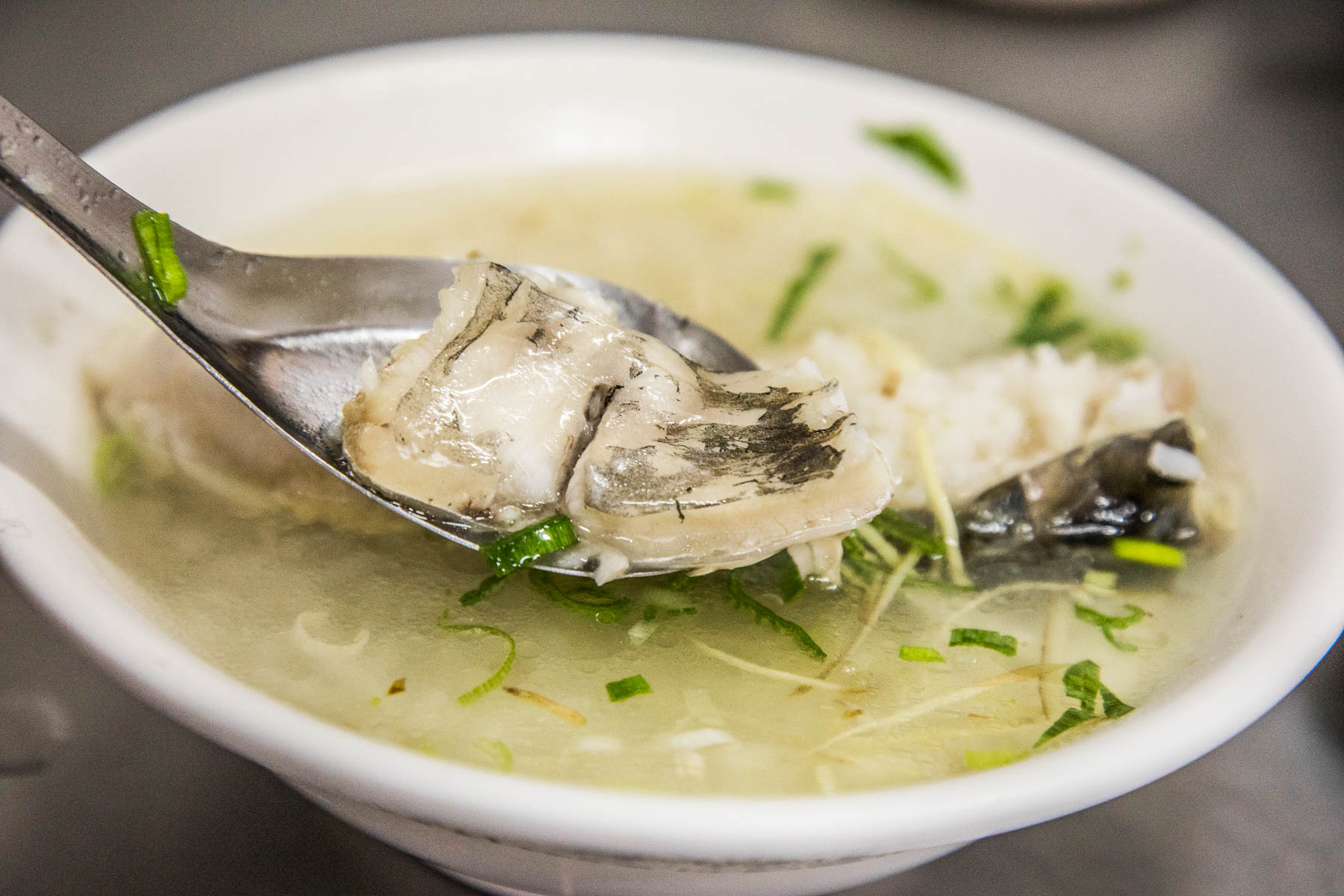 嘉義美食,嘉義早餐,嘉義必吃,嘉義小吃,嘉義草魚湯,嘉義草魚粥,正老牌草魚粥,正老牌草魚粥西榮街