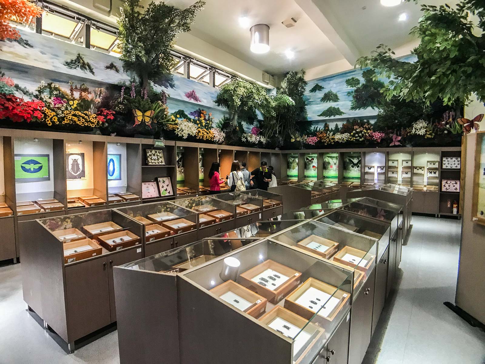 鹿港美食,台灣好行彰化,台灣好行鹿港,彰化景點,彰化小吃,鹿港景點,鹿港觀光工廠,台灣好行,彰化美食