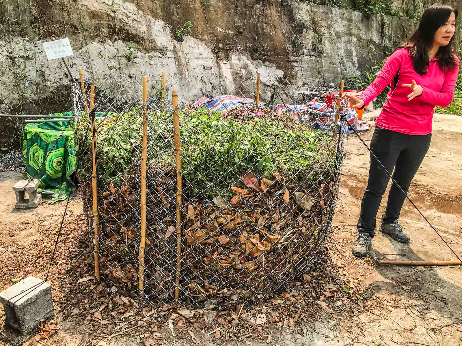 鹿港美食,台灣好行彰化,台灣好行鹿港,彰化景點,彰化小吃,鹿港景點,鹿港觀光工廠,台灣好行,彰化美食