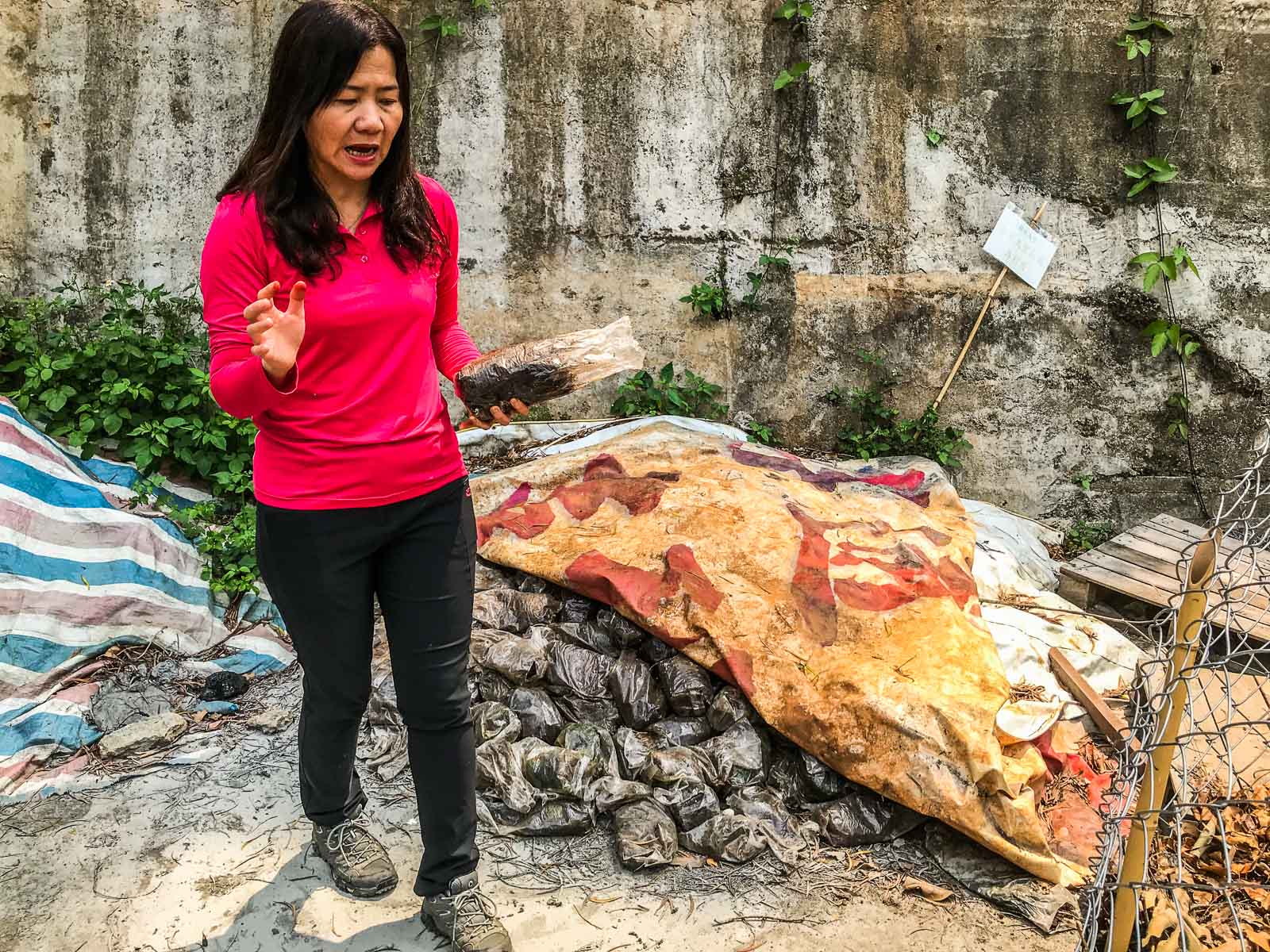 鹿港美食,台灣好行彰化,台灣好行鹿港,彰化景點,彰化小吃,鹿港景點,鹿港觀光工廠,台灣好行,彰化美食