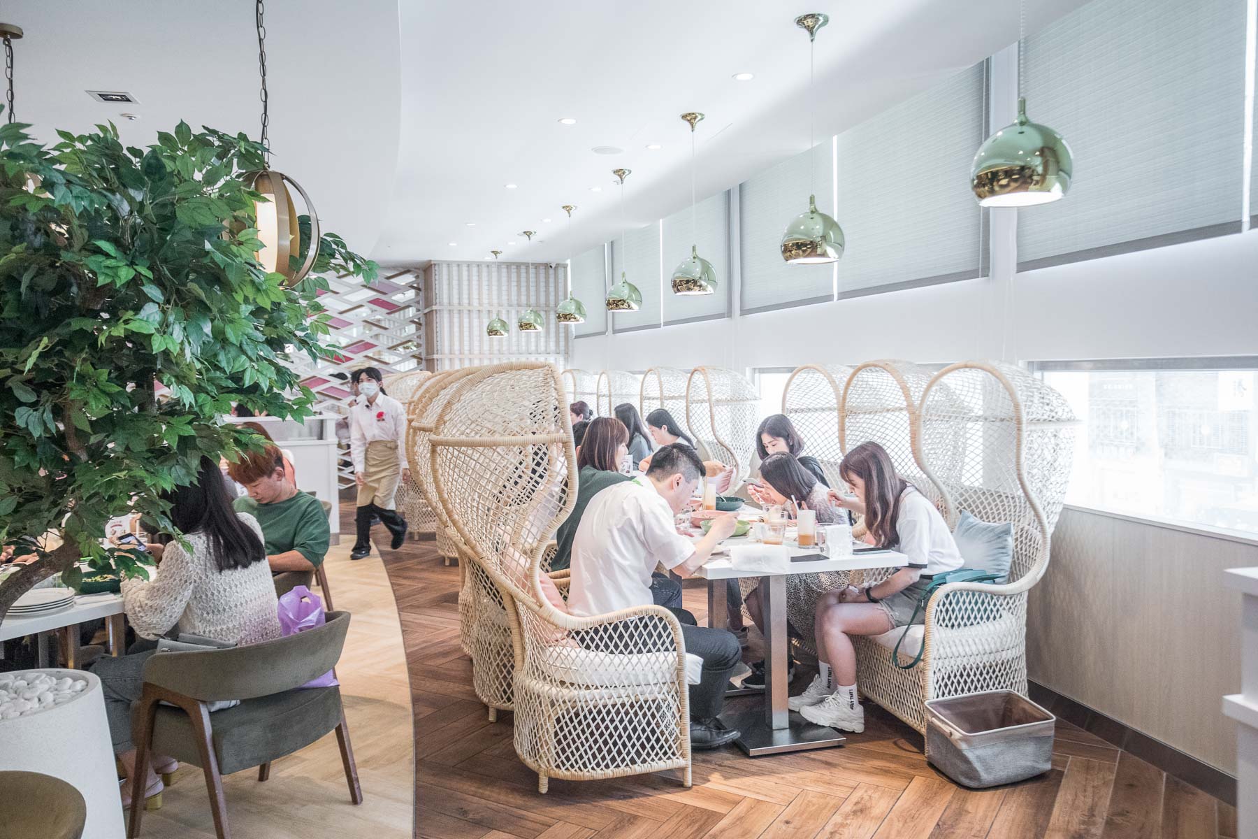 新竹巨城美食,新竹網美店,Lady nara 新竹SOGO店,新竹美食,新竹IG,新竹必吃,新竹泰式料理