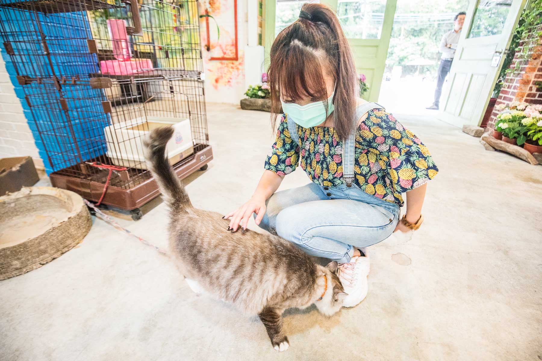 桃園美食,大溪美食,復興鄉美食,復興區美食,小烏來美食,ZOO ZOO 假期