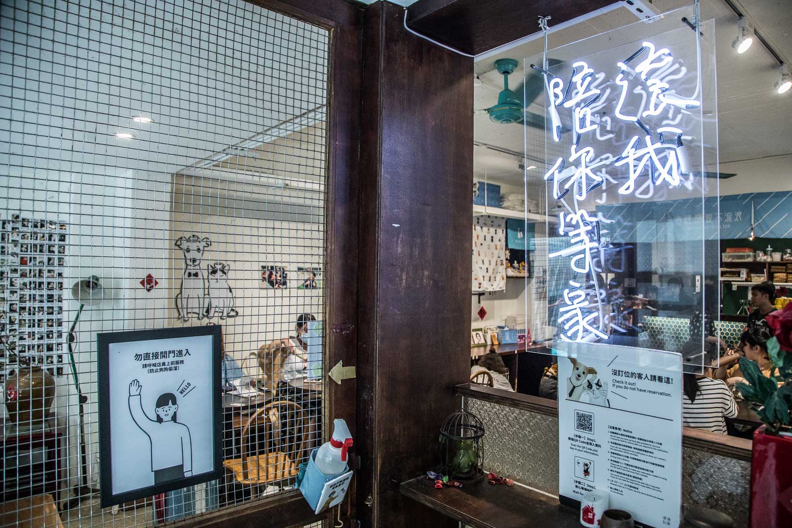 台北浪浪別哭,台北寵物中途餐廳,台北景點,台北美食,台北寵物餐廳,浪浪別哭,流浪動物之家,流浪動物中途