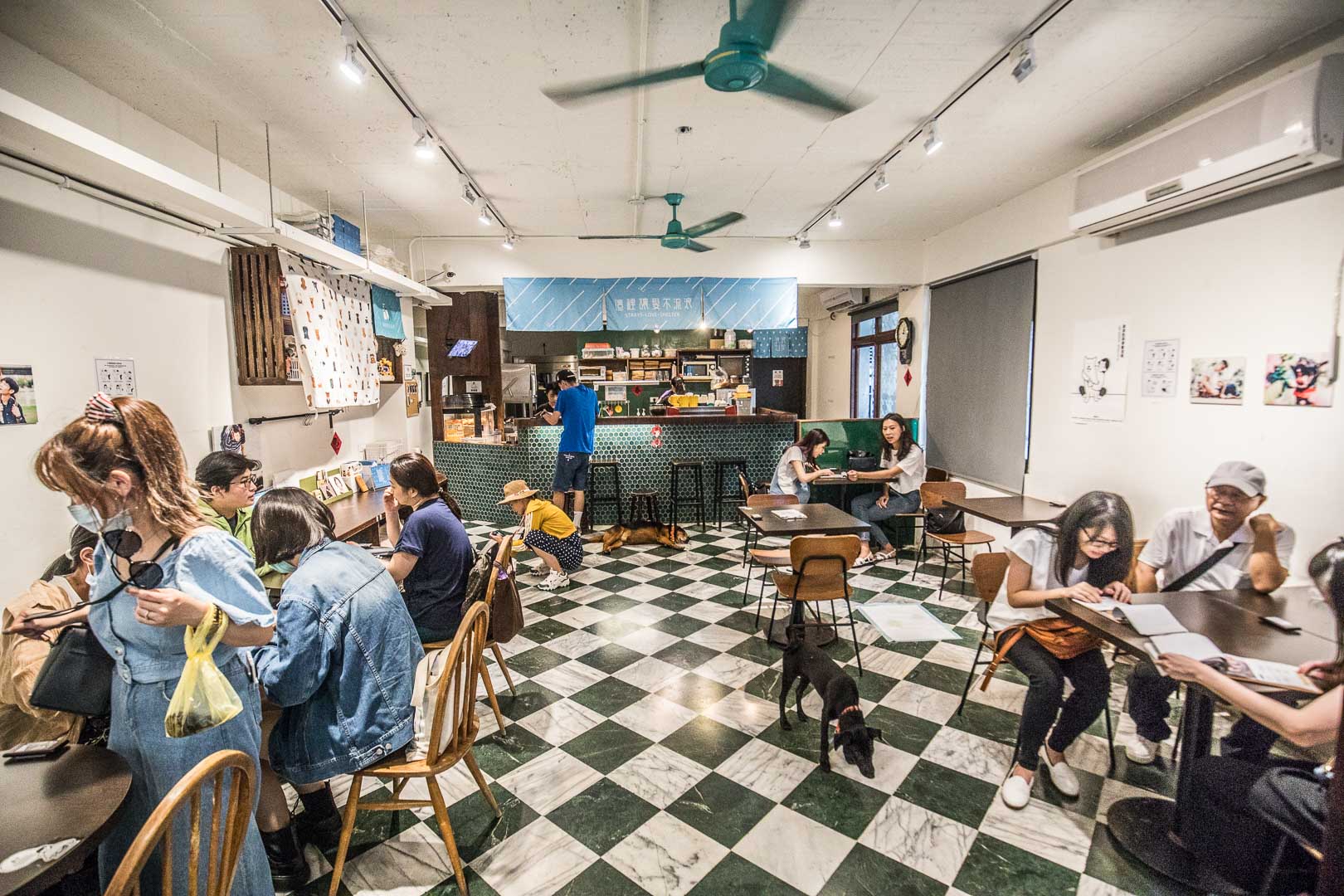 台北浪浪別哭,台北寵物中途餐廳,台北景點,台北美食,台北寵物餐廳,浪浪別哭,流浪動物之家,流浪動物中途